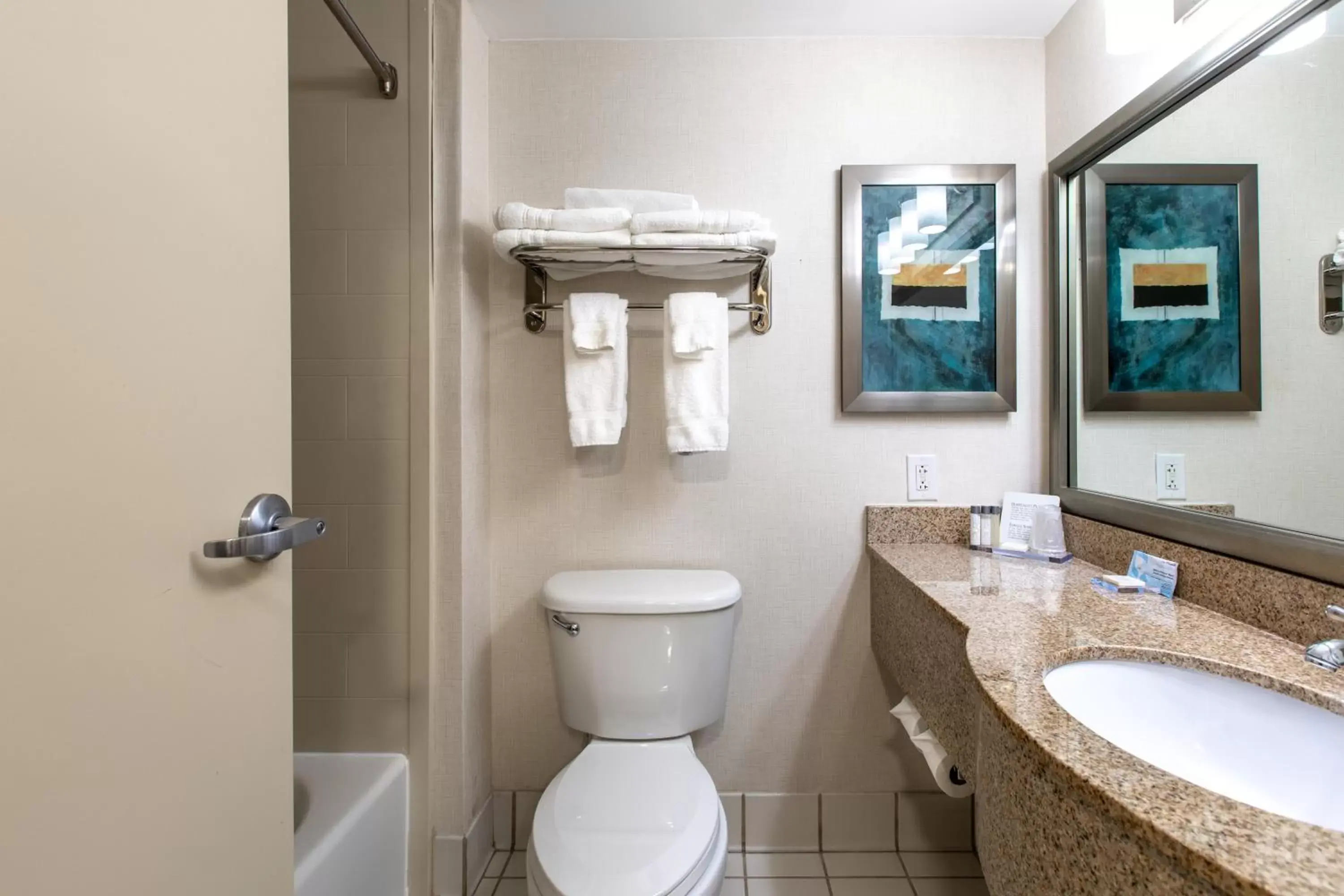 Bathroom in Wingate by Wyndham Charlotte Concord Mills/Speedway