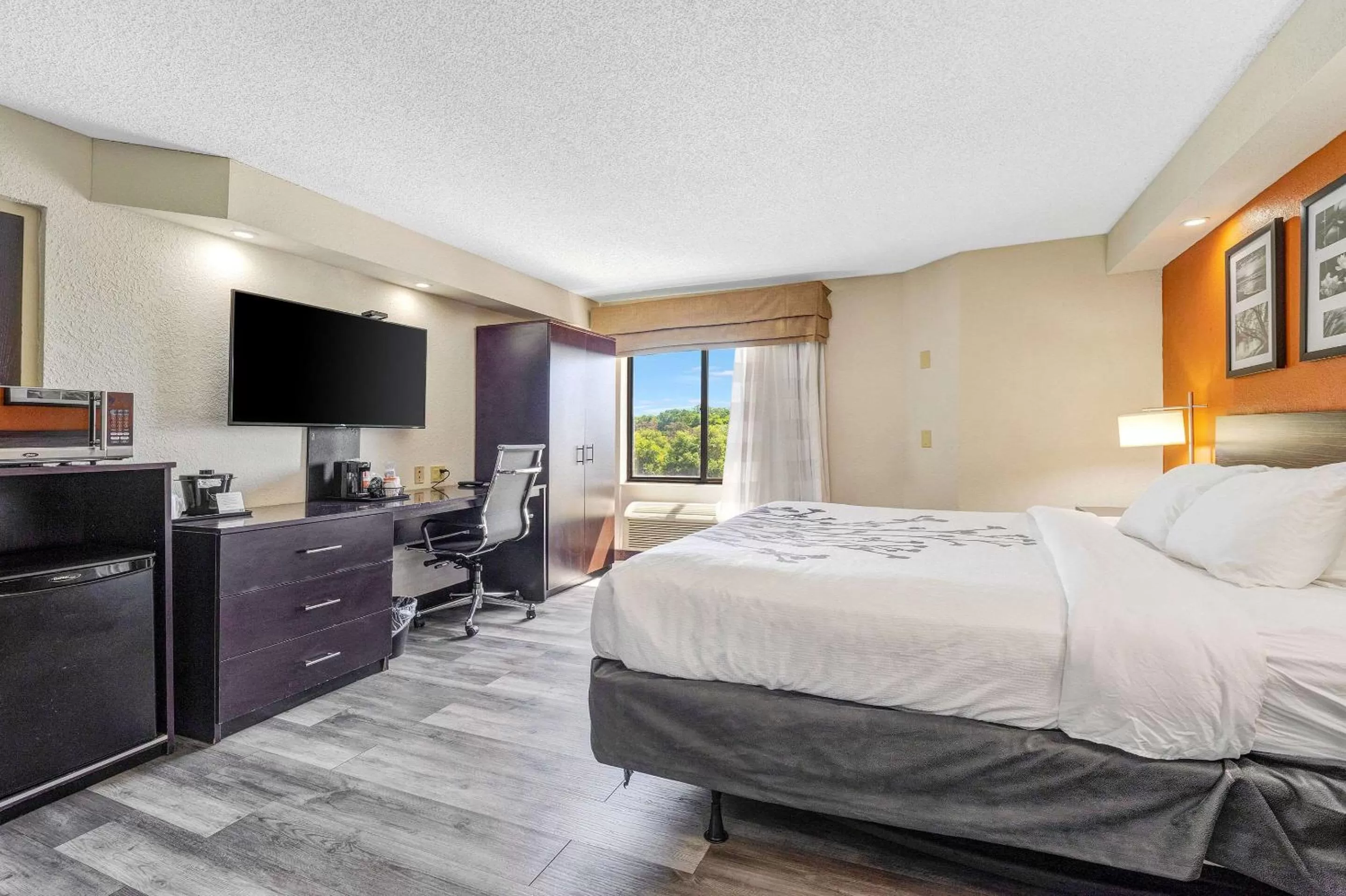 Photo of the whole room, Bed in Sleep Inn Leesburg Chain of Lakes