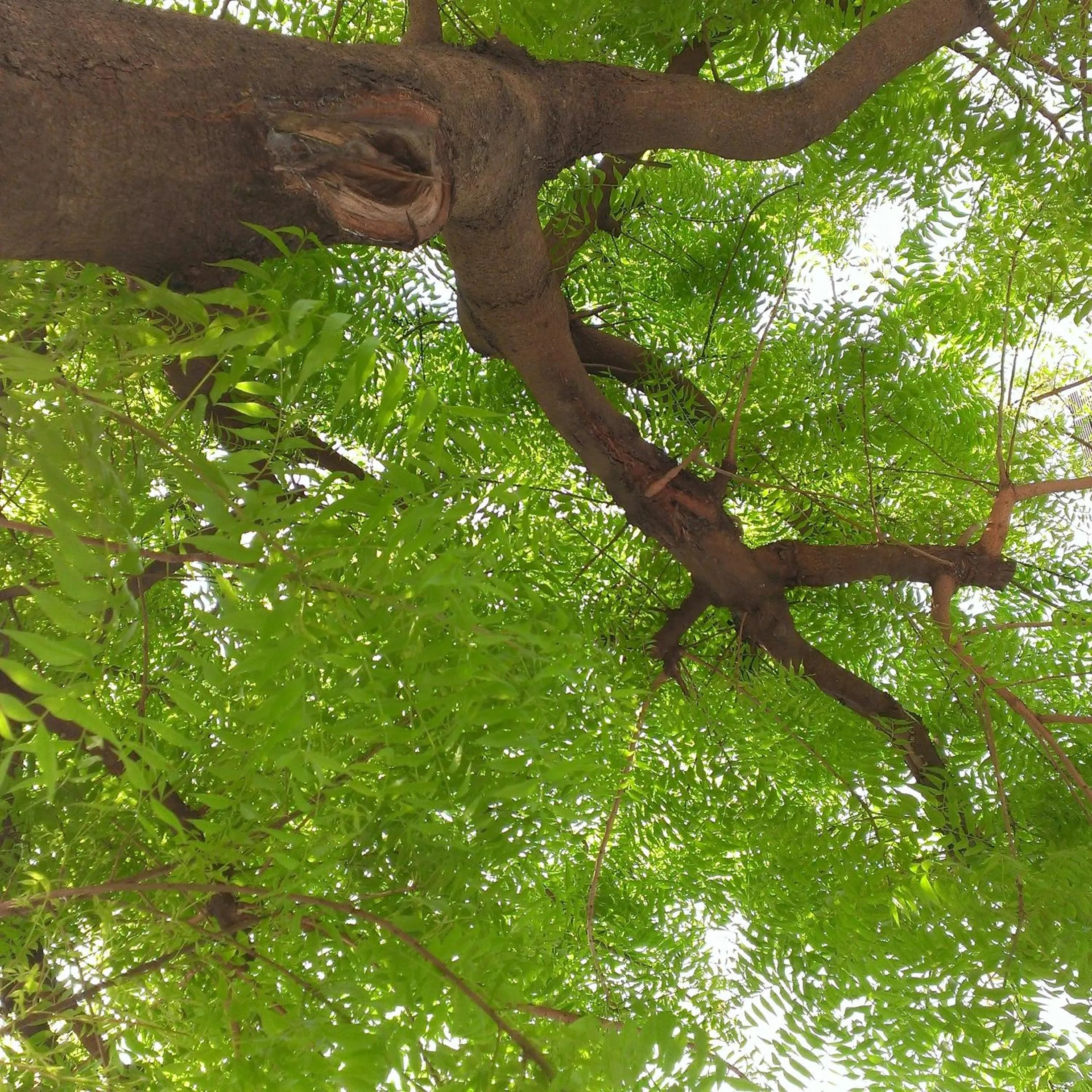 Off site in Sailin 137 Hostel