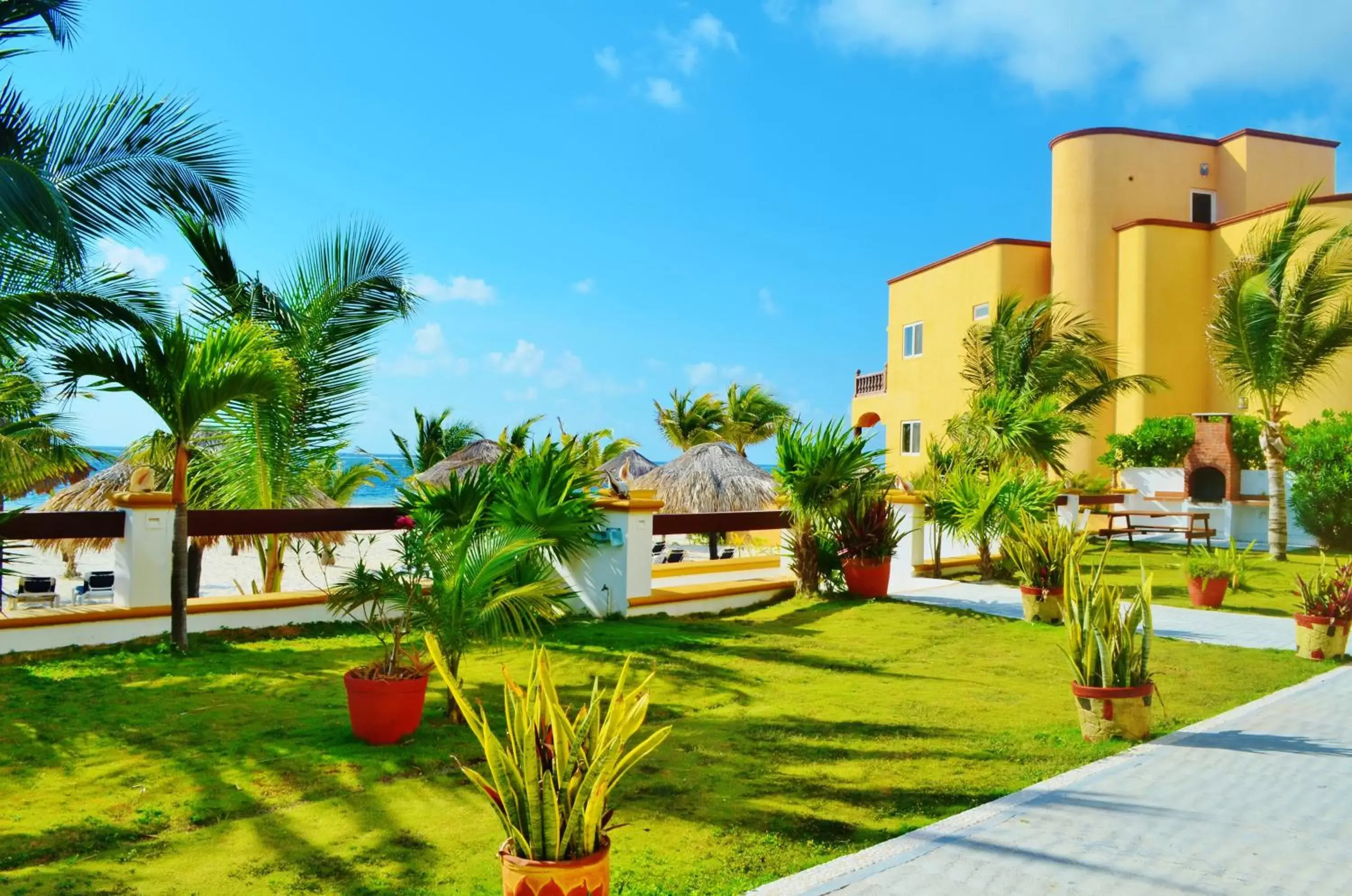 Garden, Swimming Pool in Arrecifes Suites