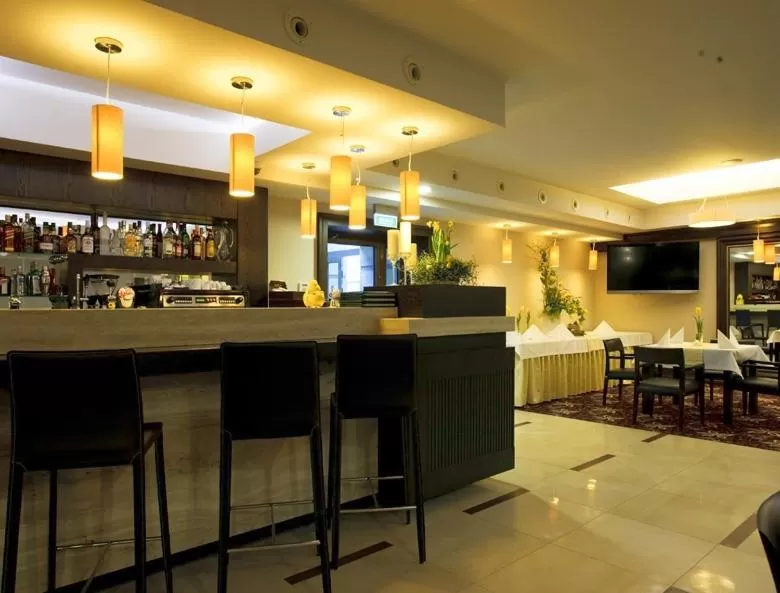 Lounge or bar in Hotel-Restauracja Platan
