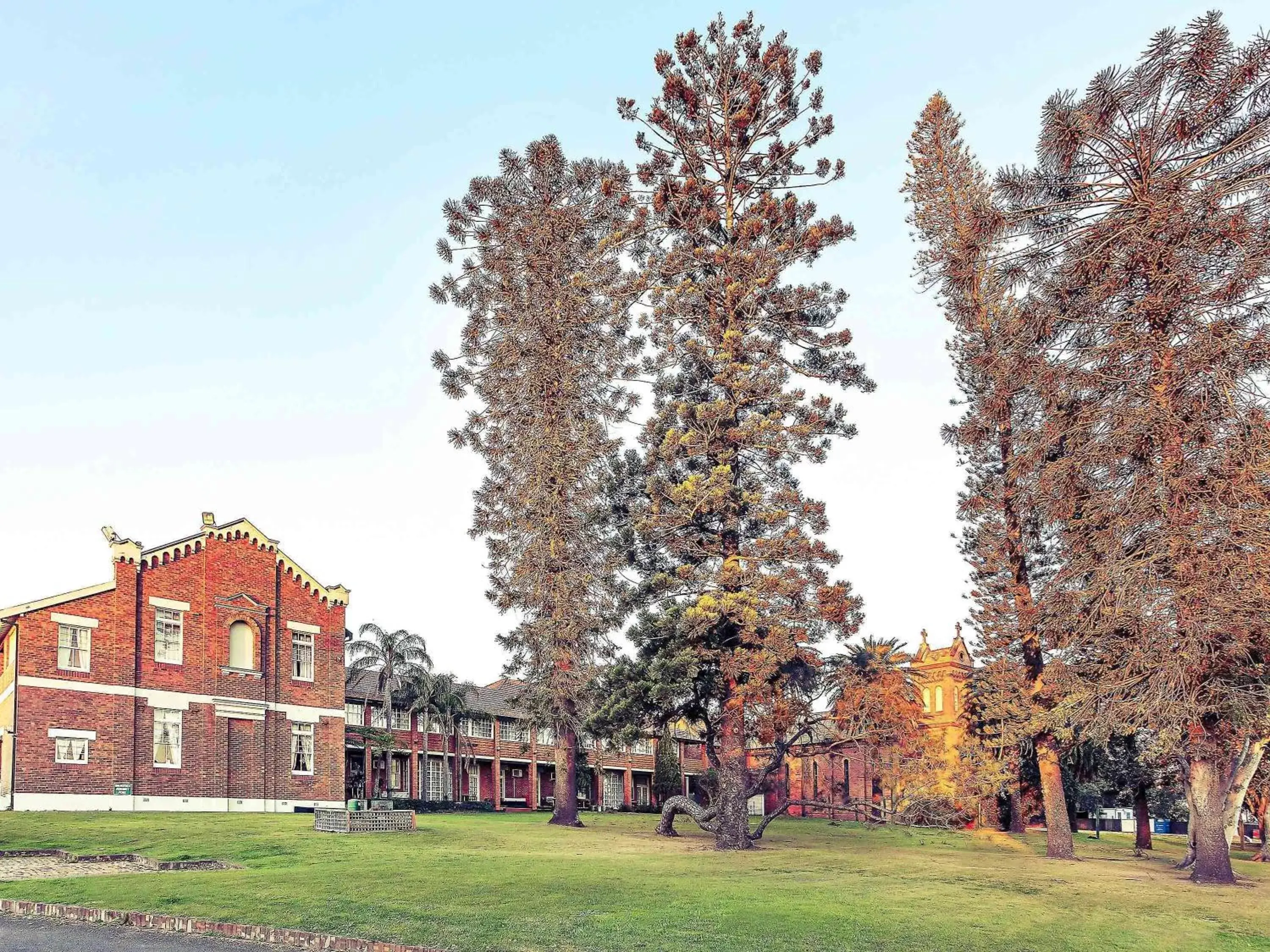 Property building in Mercure Maitland Monte Pio Property building in Mercure Maitland Monte Pio