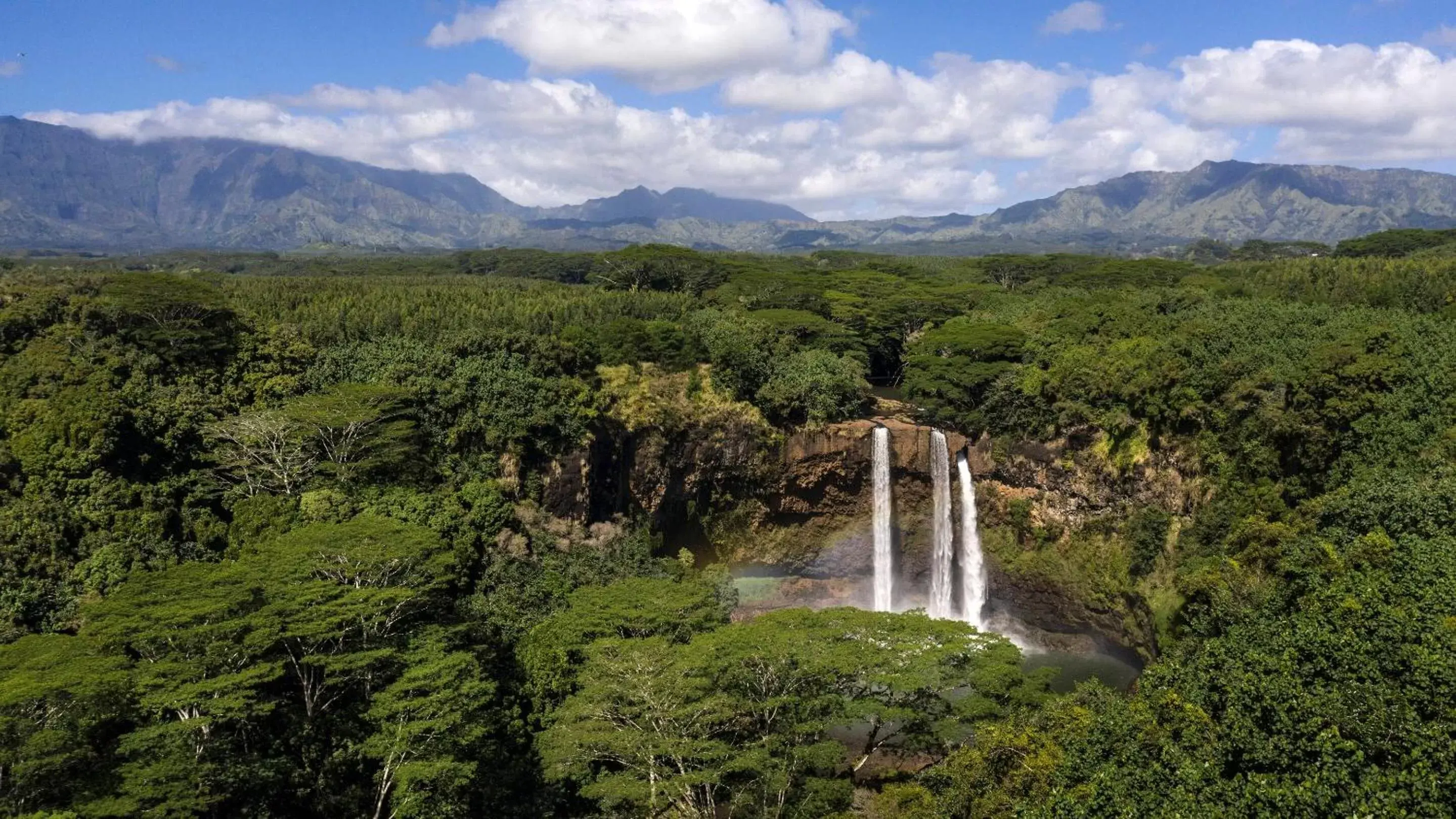 Natural landscape in The Royal Sonesta Kauai Resort Lihue