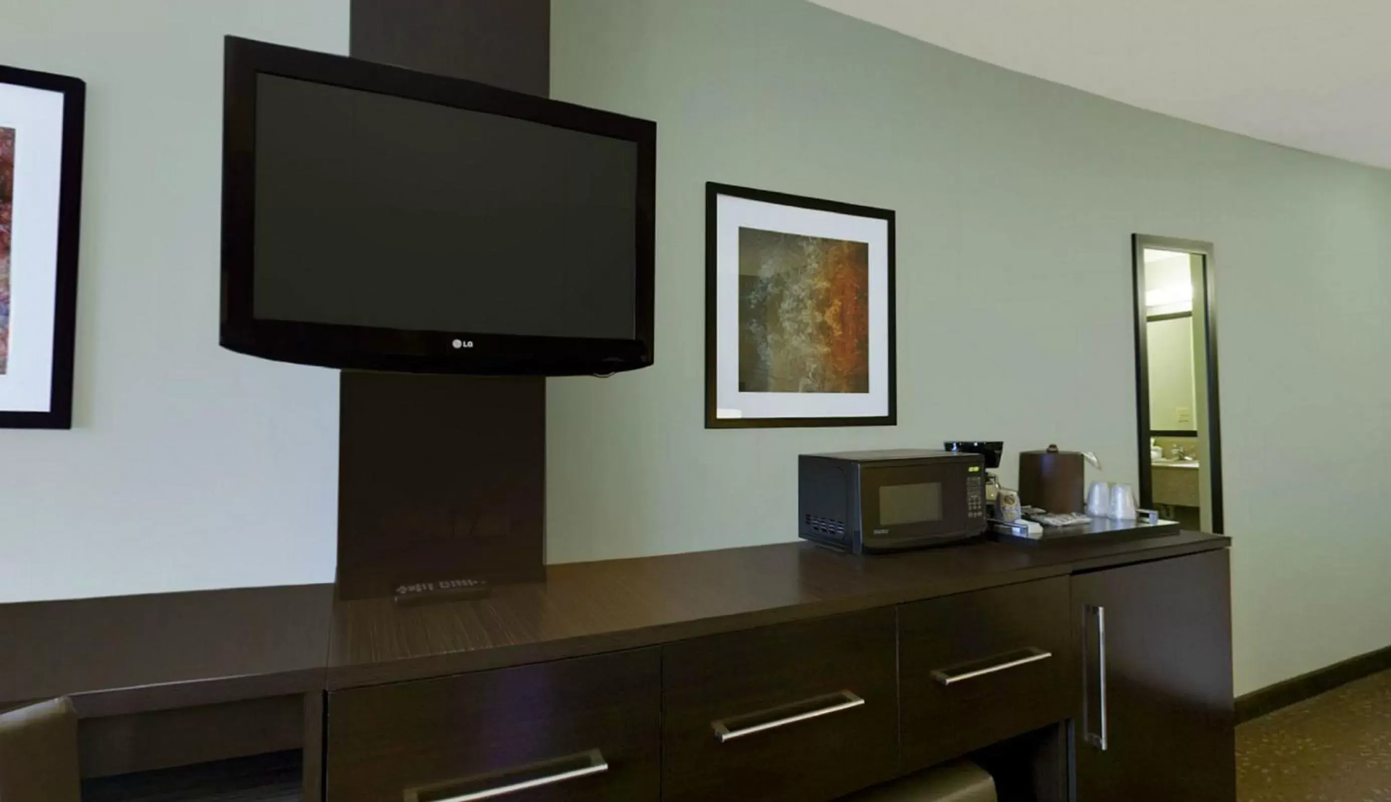 TV and multimedia, TV/Entertainment Center in Holiday Inn Express Romulus / Detroit Airport, an IHG Hotel