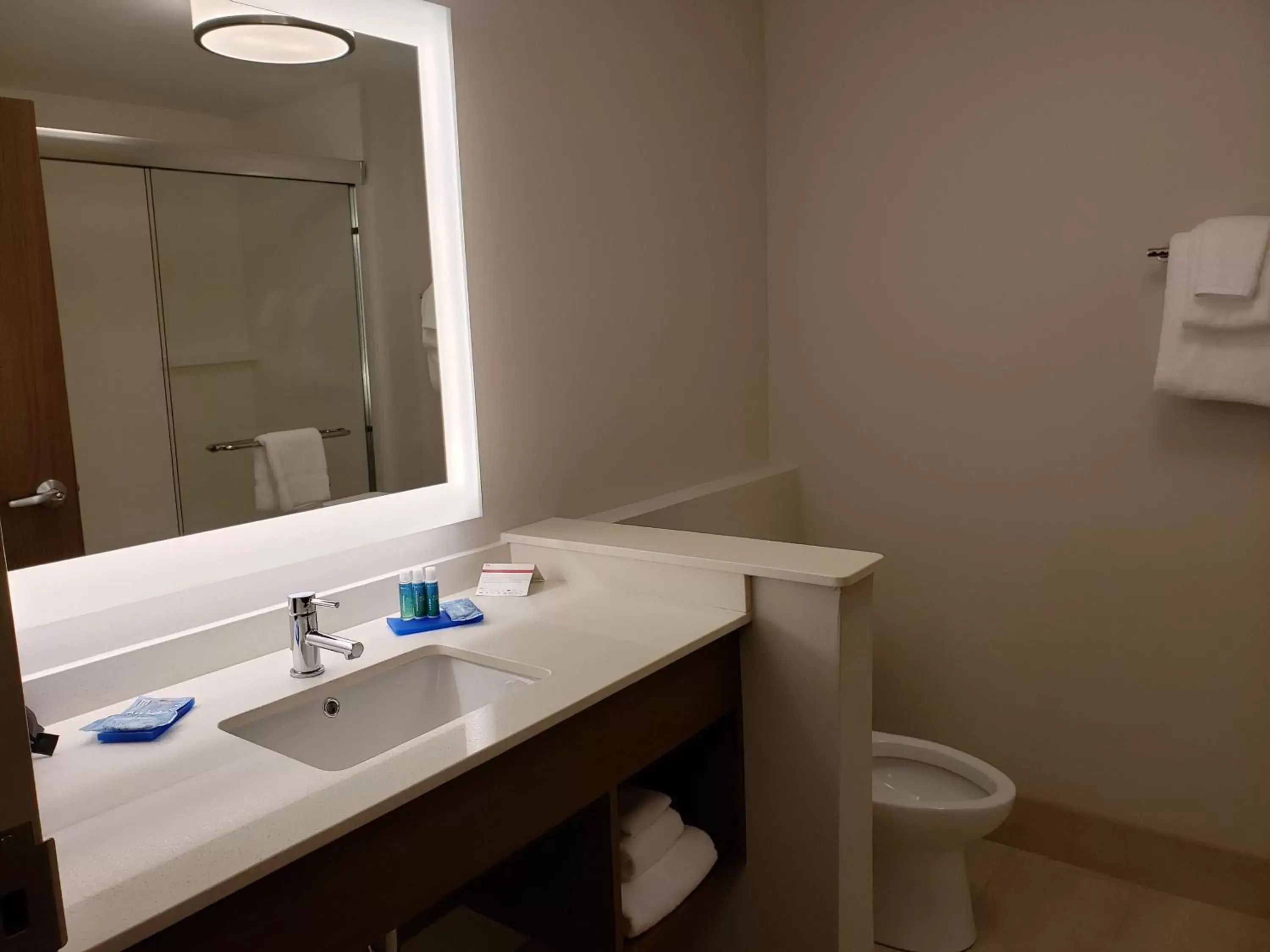 Bathroom in Holiday Inn Express - Macon North, an IHG Hotel