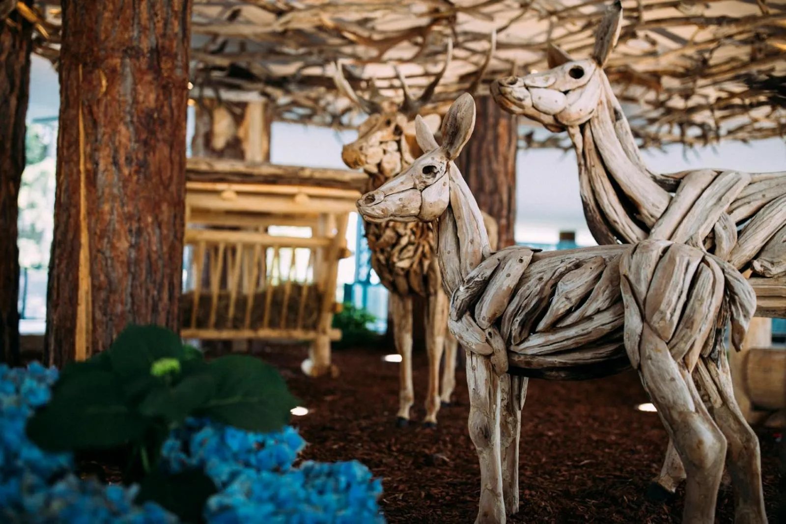 Lobby or reception, Other Animals in Astoria Resort