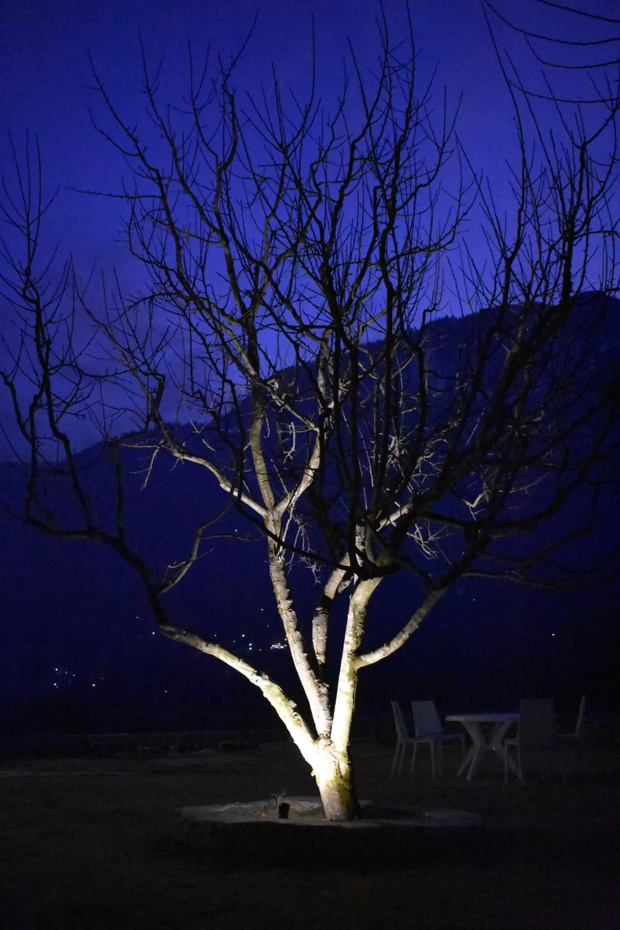 The Allure Grand Resort -A Majestic Riverside Retreat