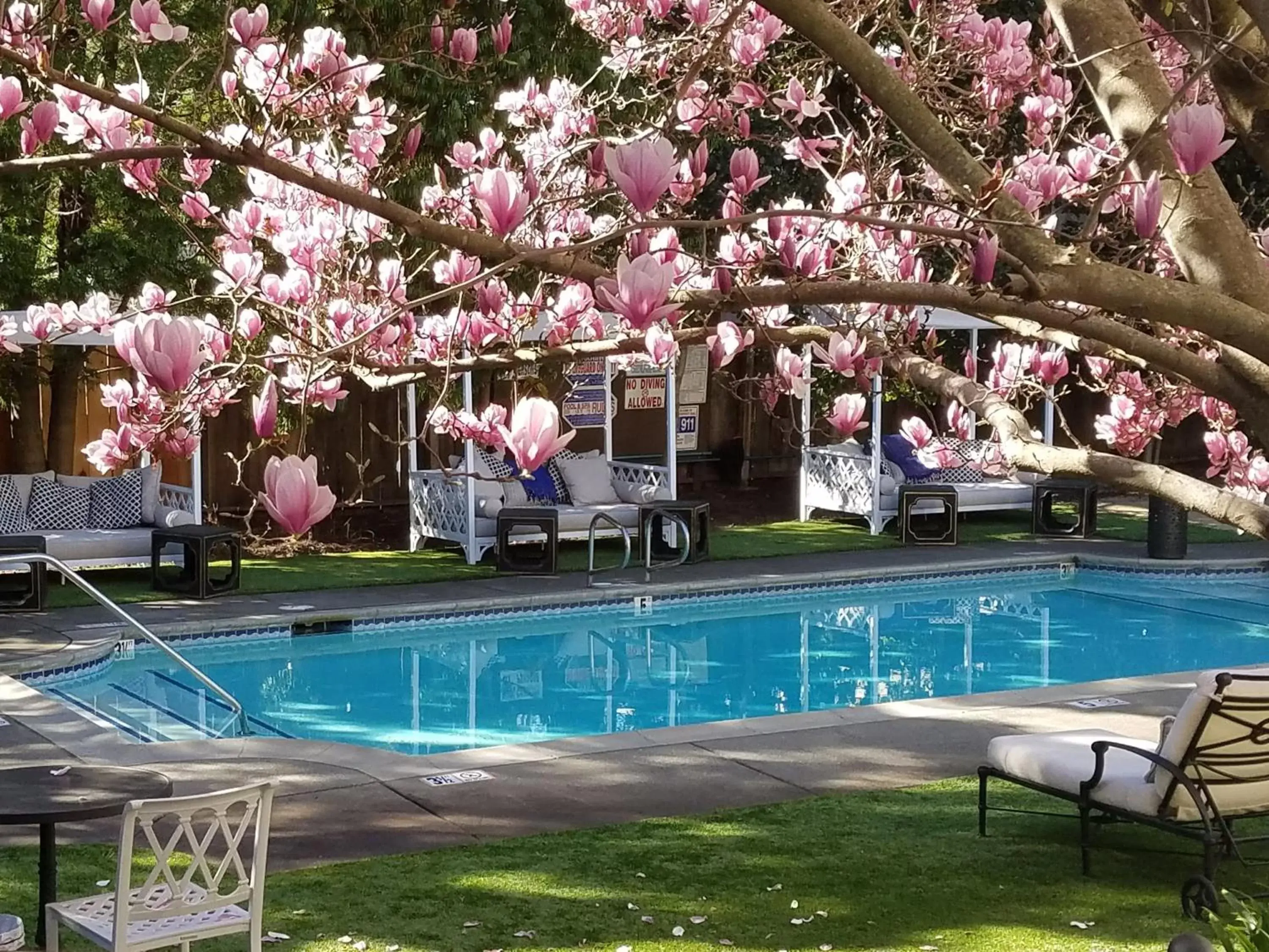 Swimming Pool in The White House Inn & Spa