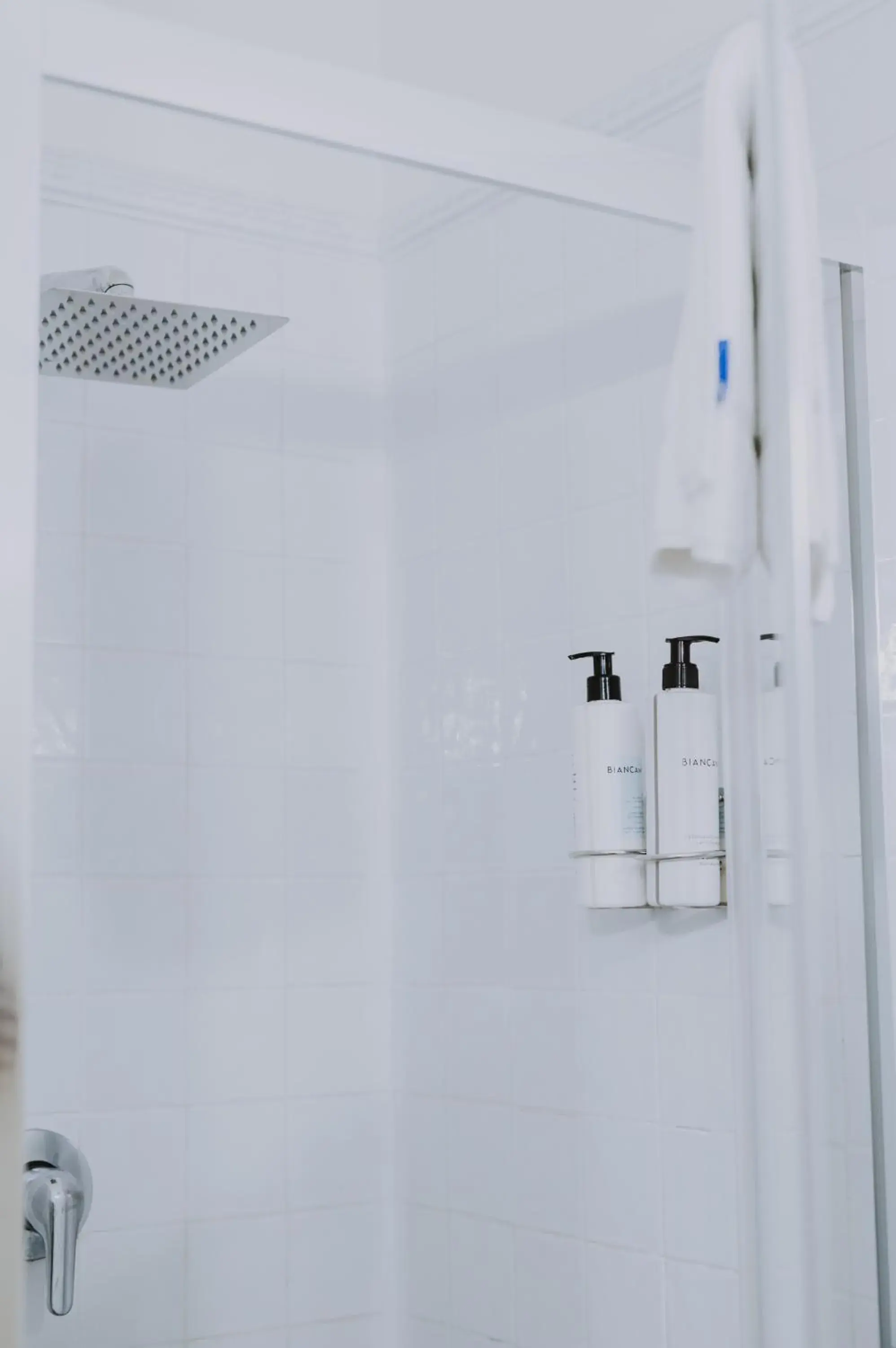 Shower, Bathroom in Albergo Delle Regioni, Barberini - Fontana di Trevi