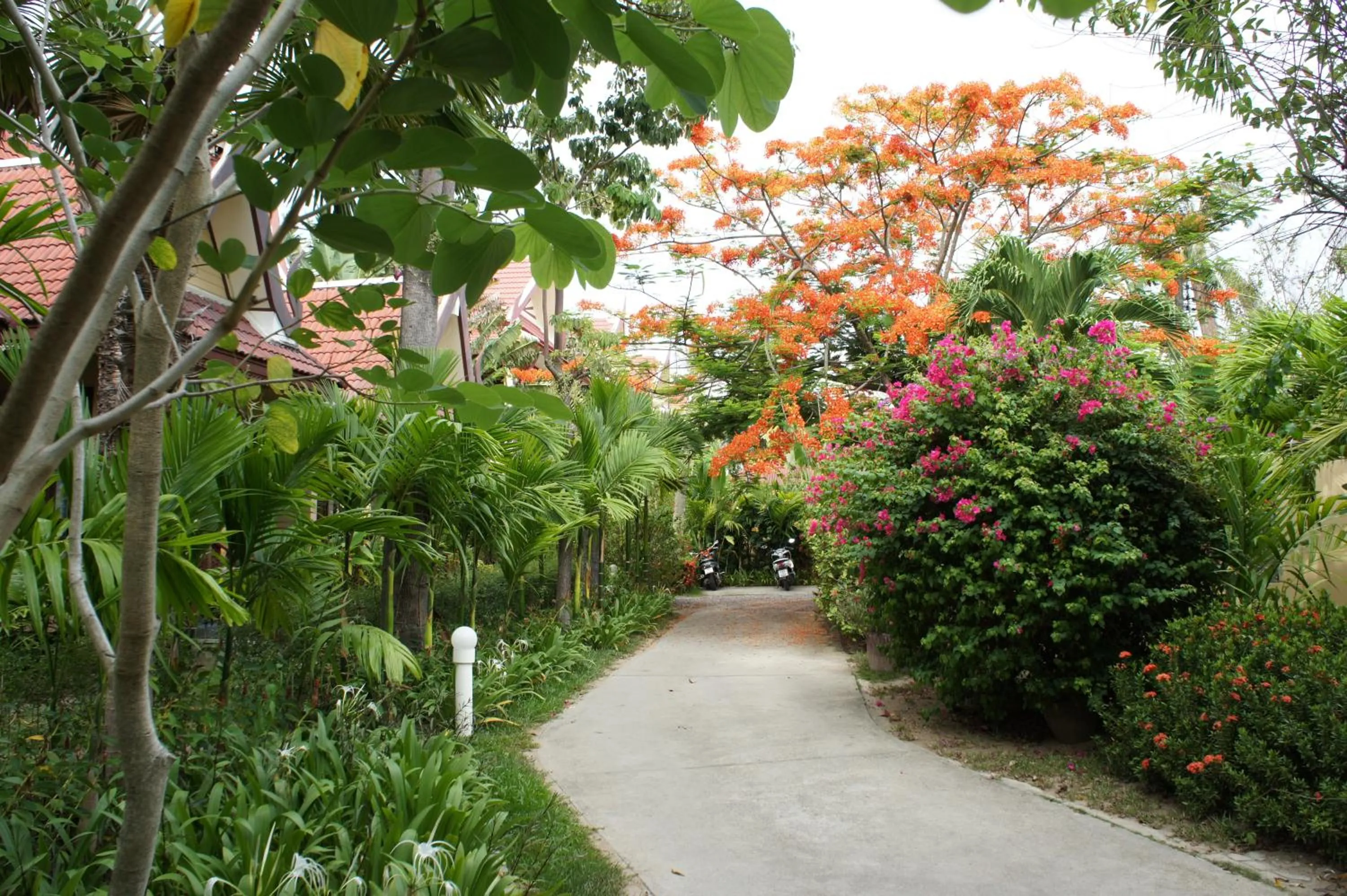 Area and facilities in Palm Village