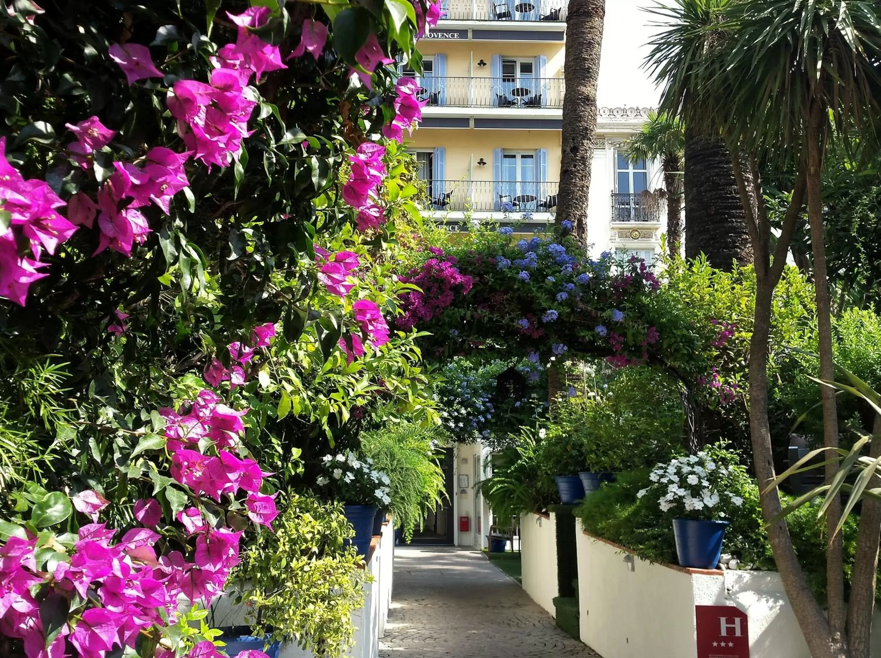 Garden in Hôtel de Provence