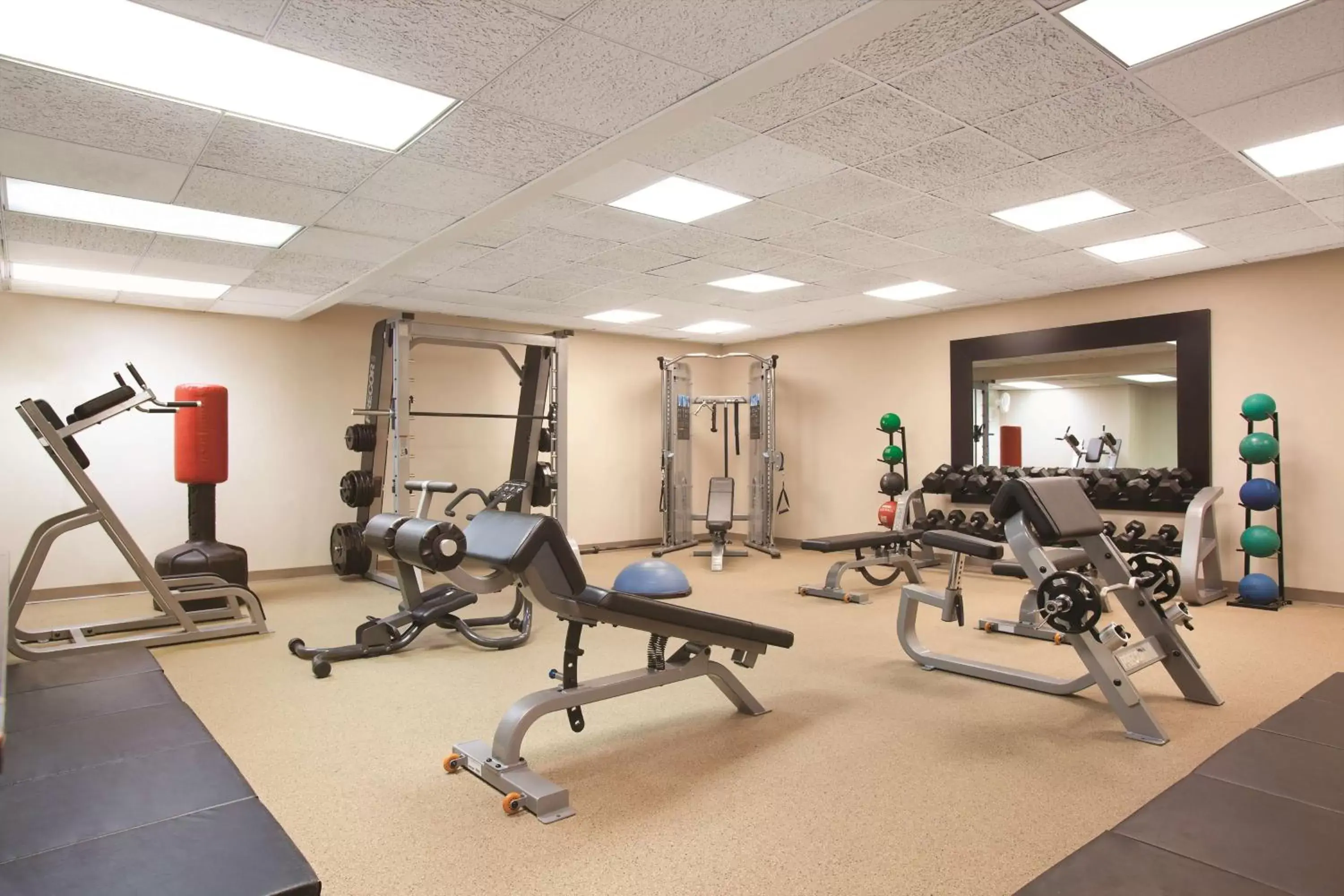 Fitness centre/facilities, Fitness Center/Facilities in Hilton Boston Dedham