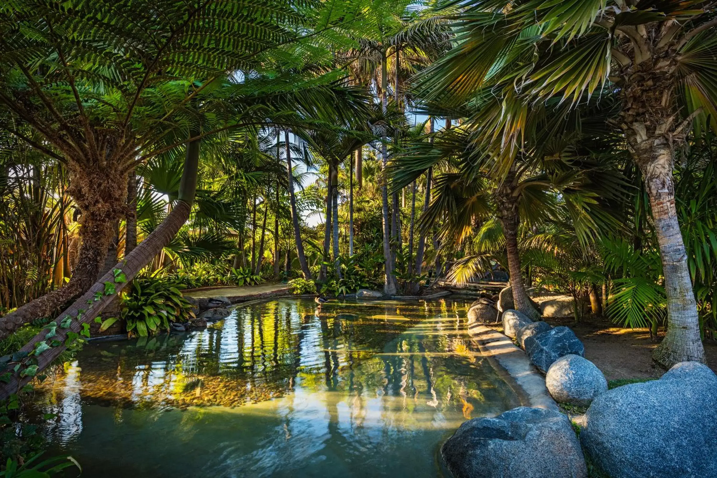 Garden in Bahia Resort Hotel