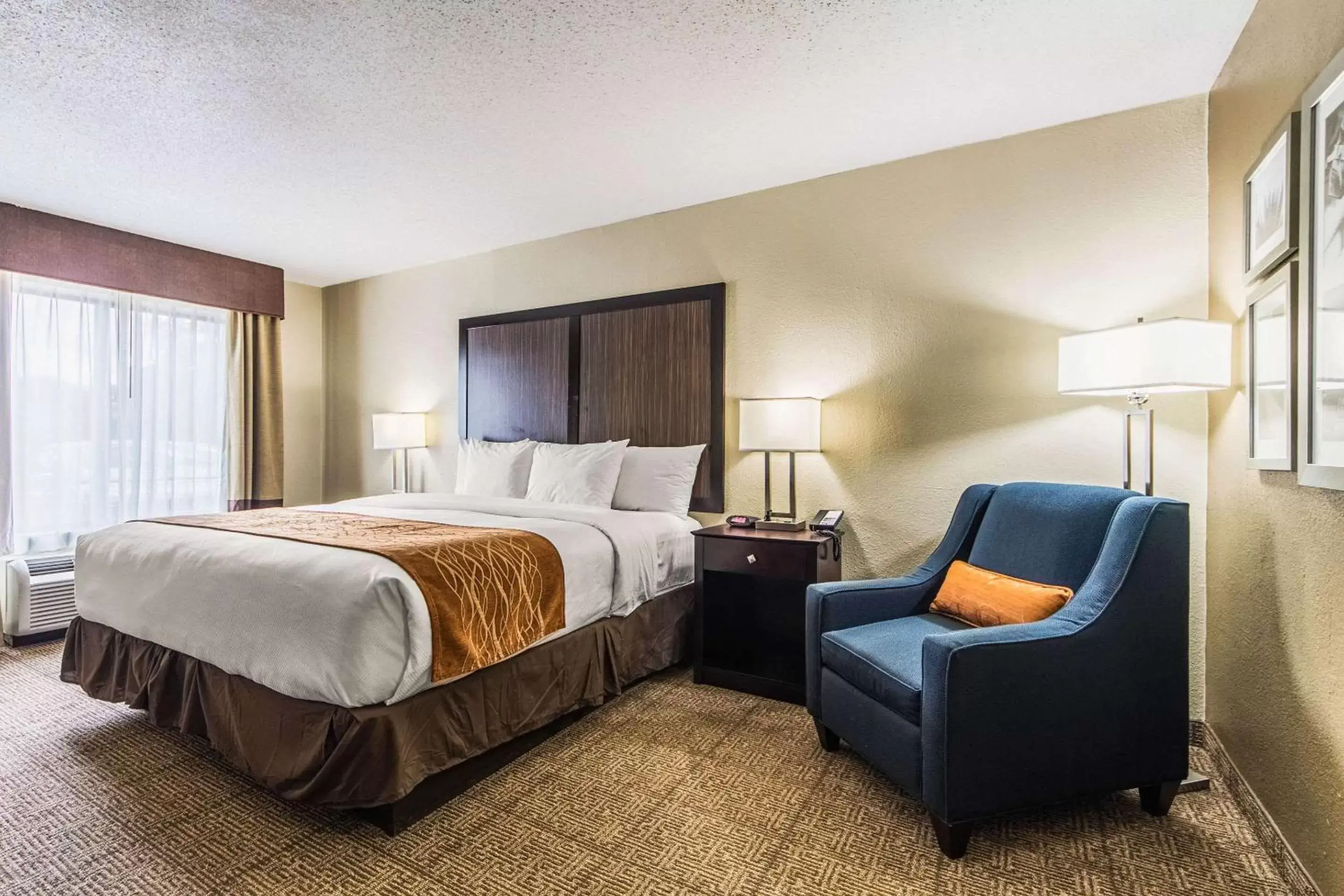 Photo of the whole room in Comfort Inn Dallas Park Central