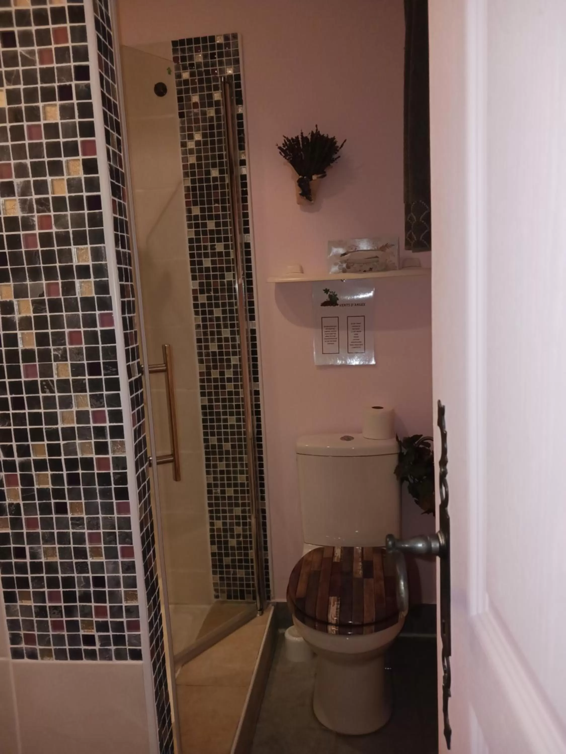 Toilet, Bathroom in Vents d'Anges