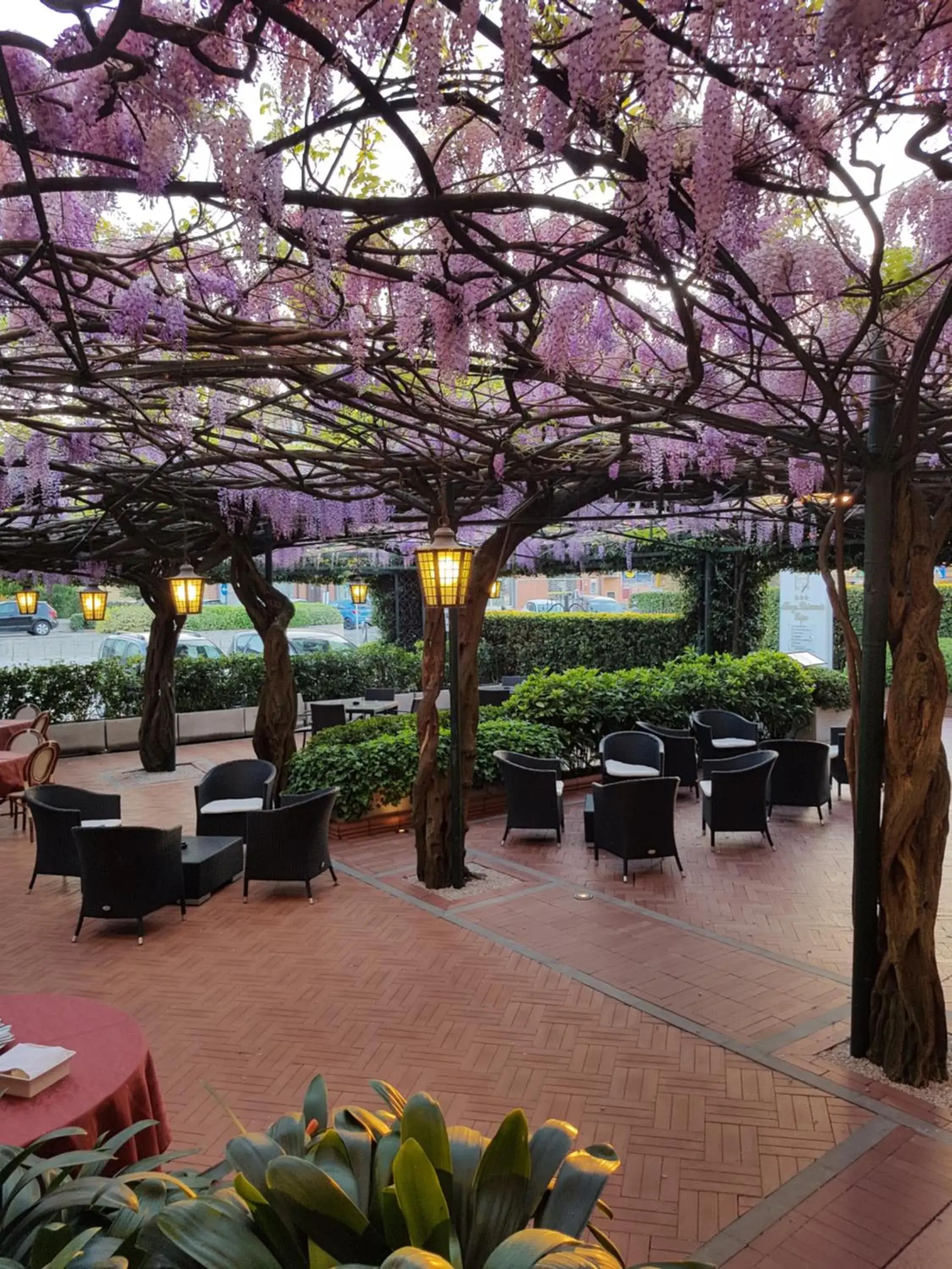 Patio in Albergo Ristorante Papa