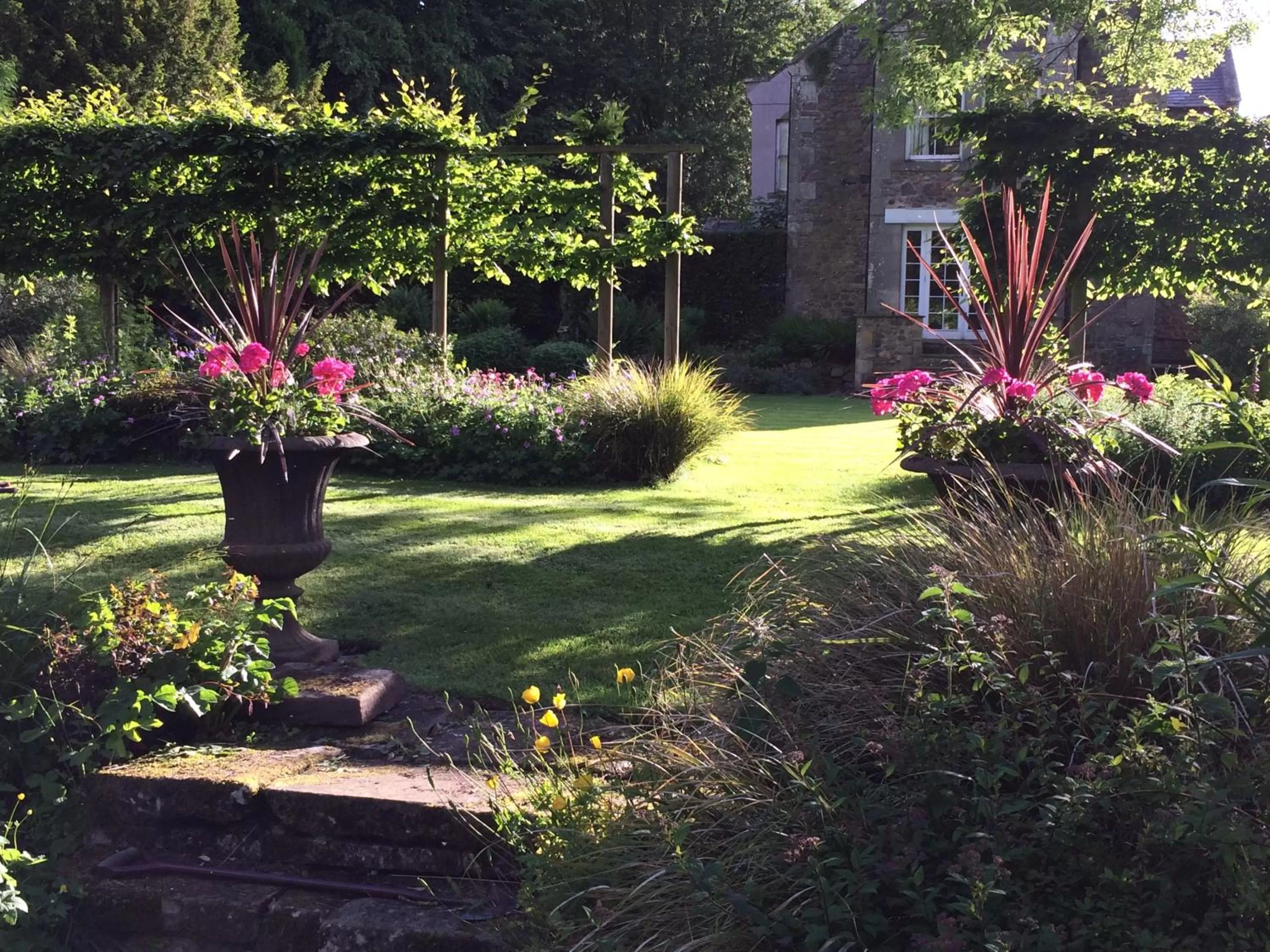 Garden in Ingram House Bed & Breakfast