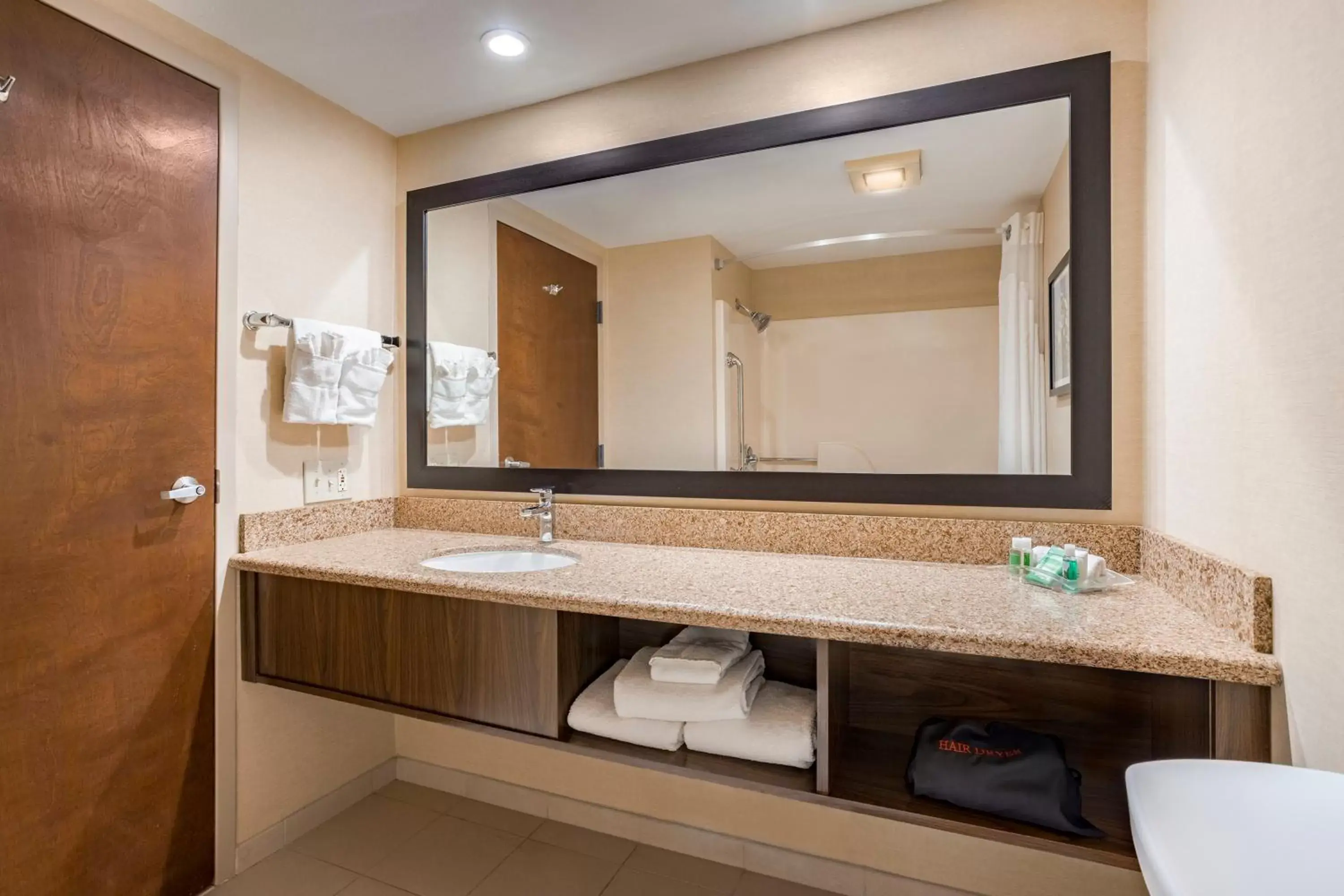 Photo of the whole room, Bathroom in Holiday Inn Canyon De Chelly-Chinle, an IHG Hotel