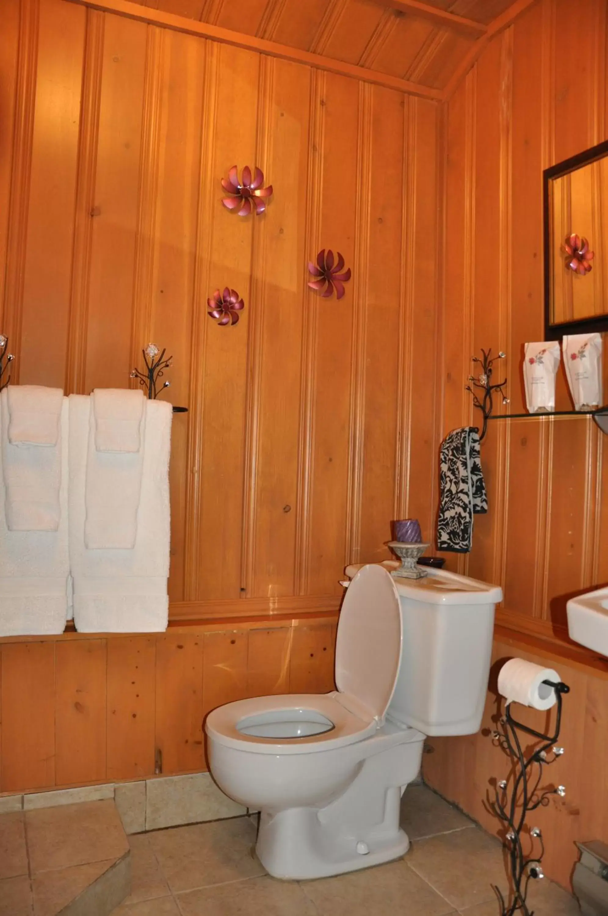 Bathroom in Auberge sur la Côte