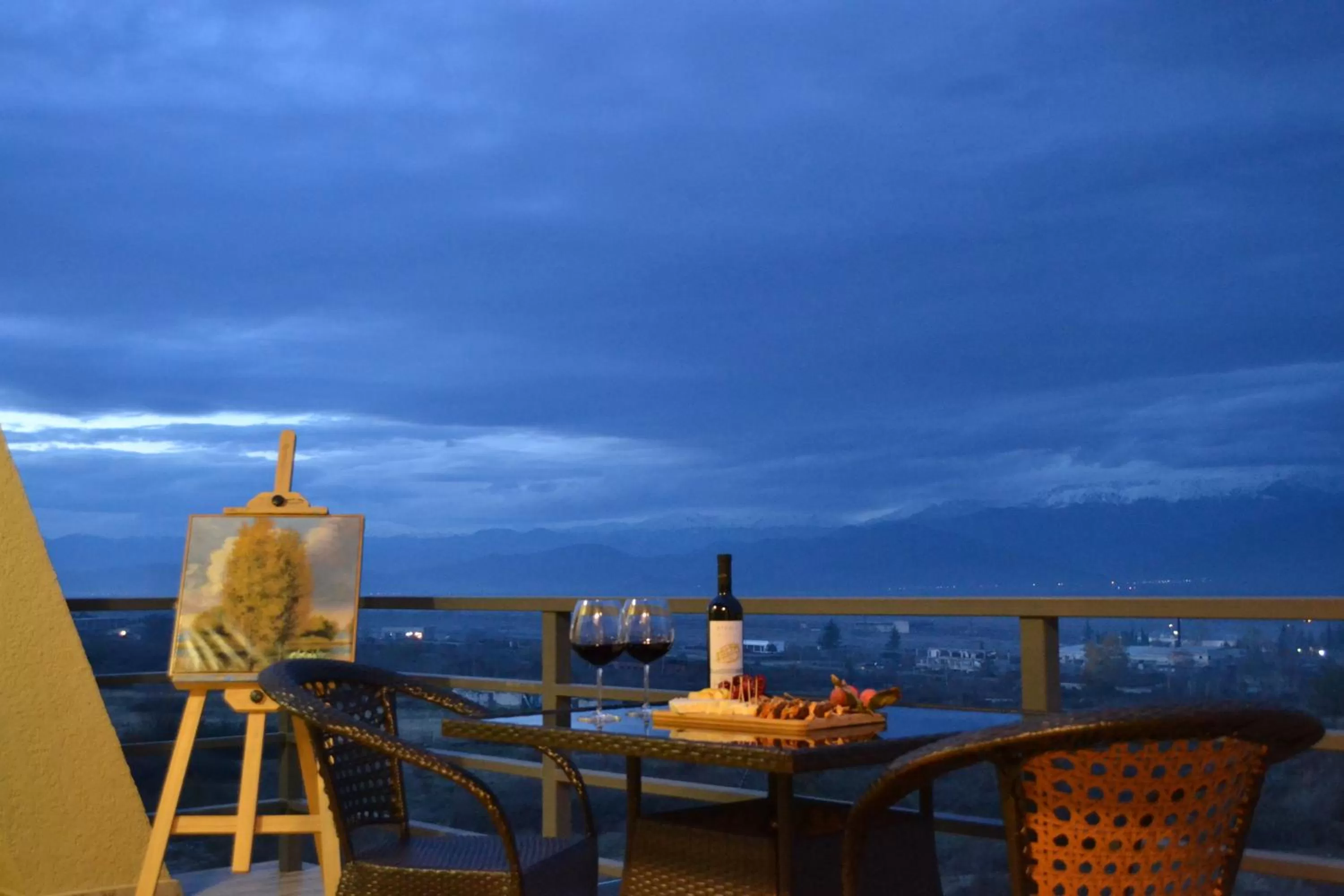 Night in The Wine Hotel Telavi