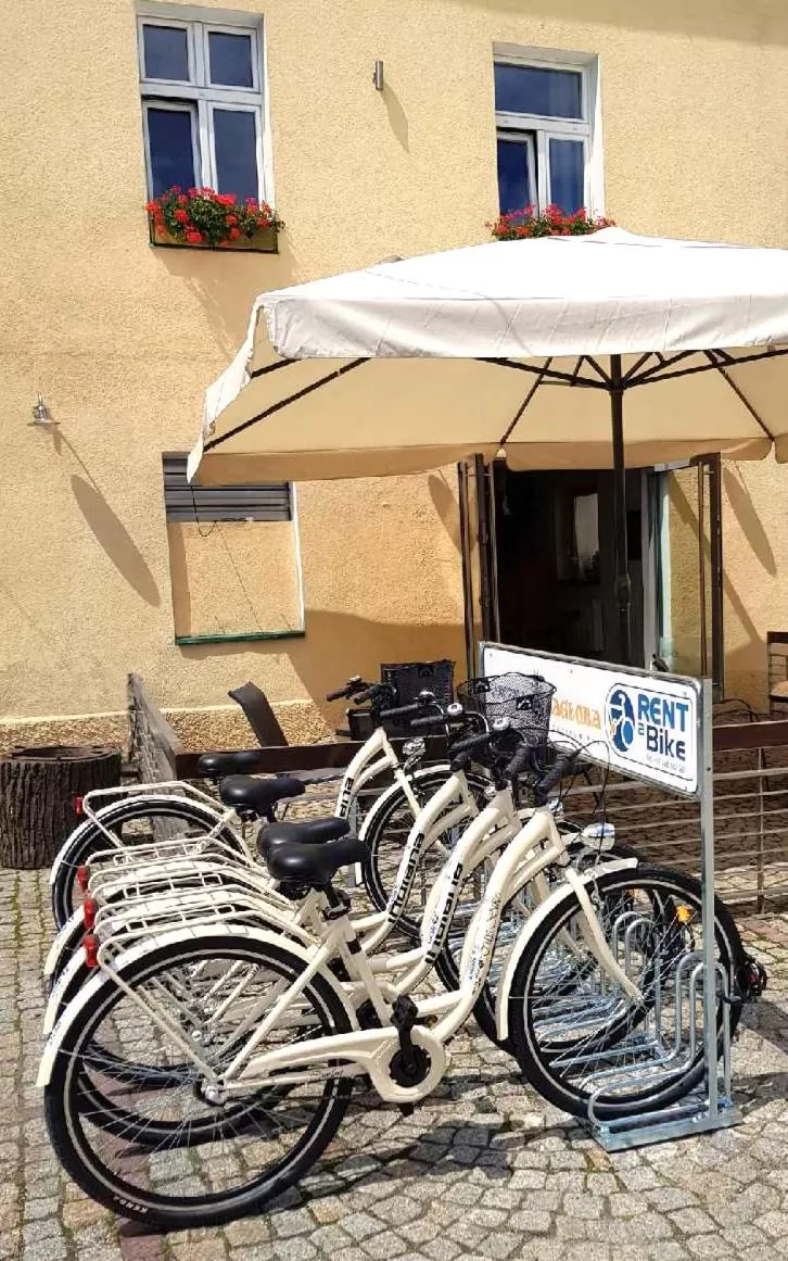 Cycling in Zajazd Karczma Zagłoba