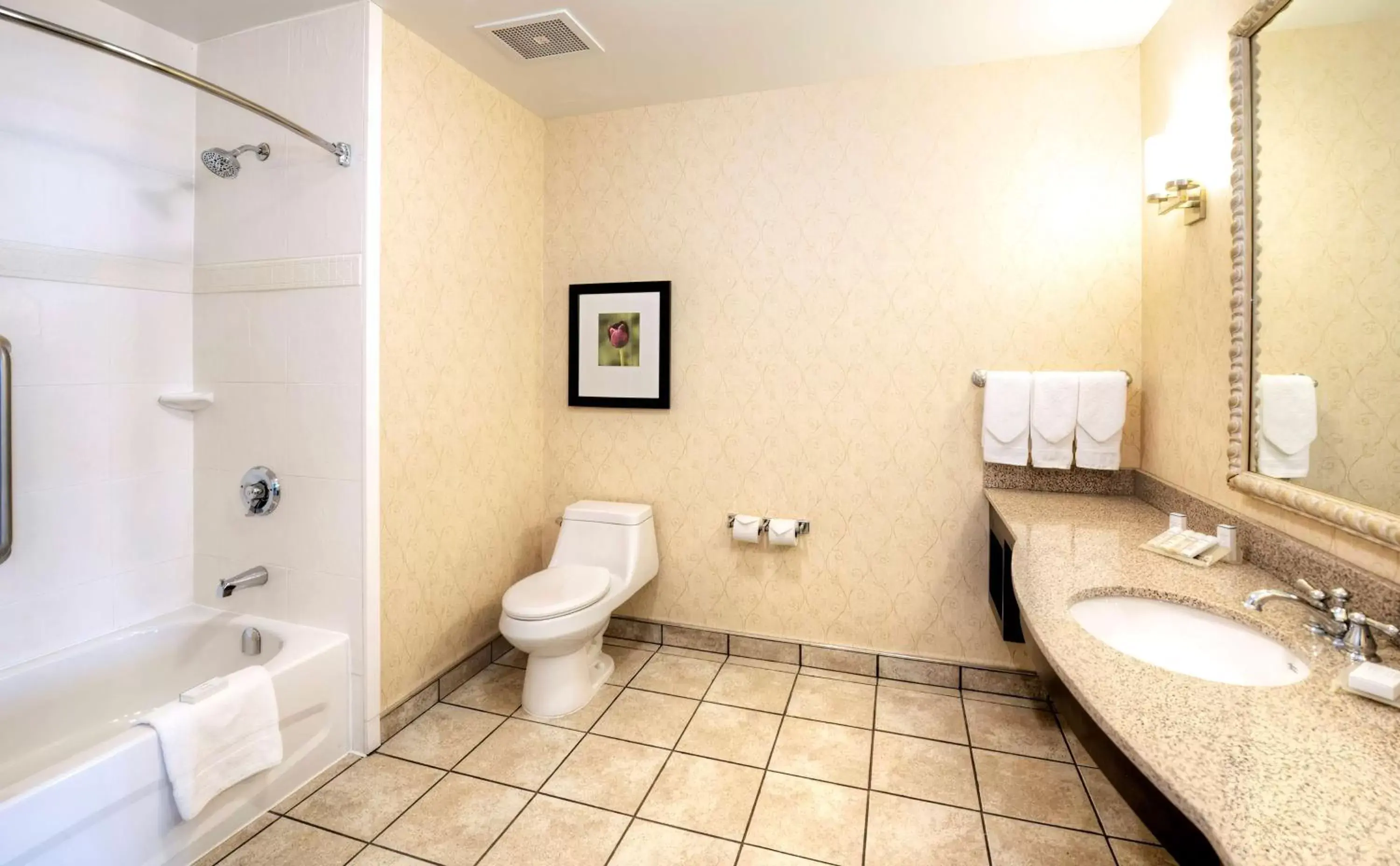 Bathroom in Hilton Garden Inn Ottawa Airport