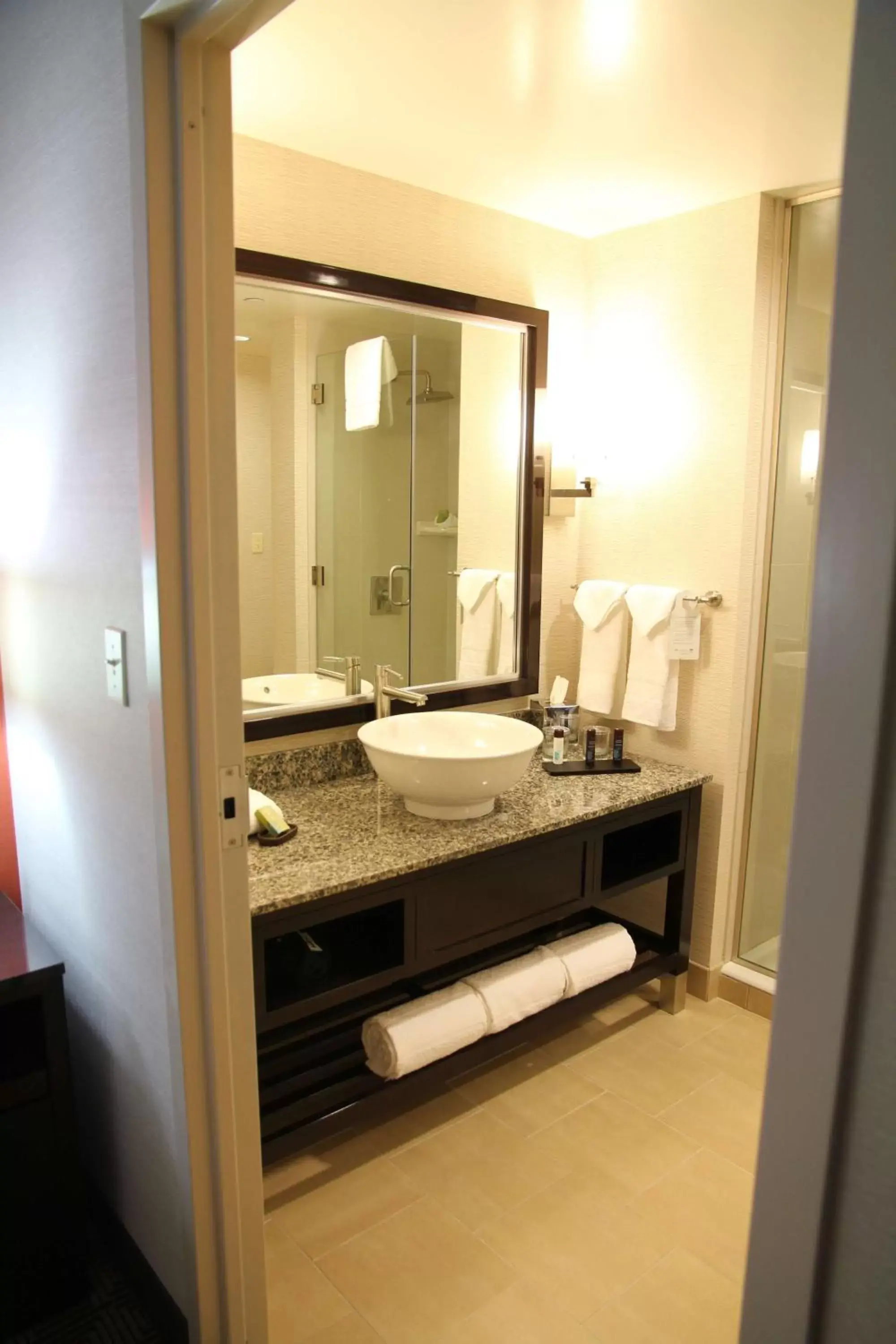 Bathroom in Embassy Suites Ontario - Airport