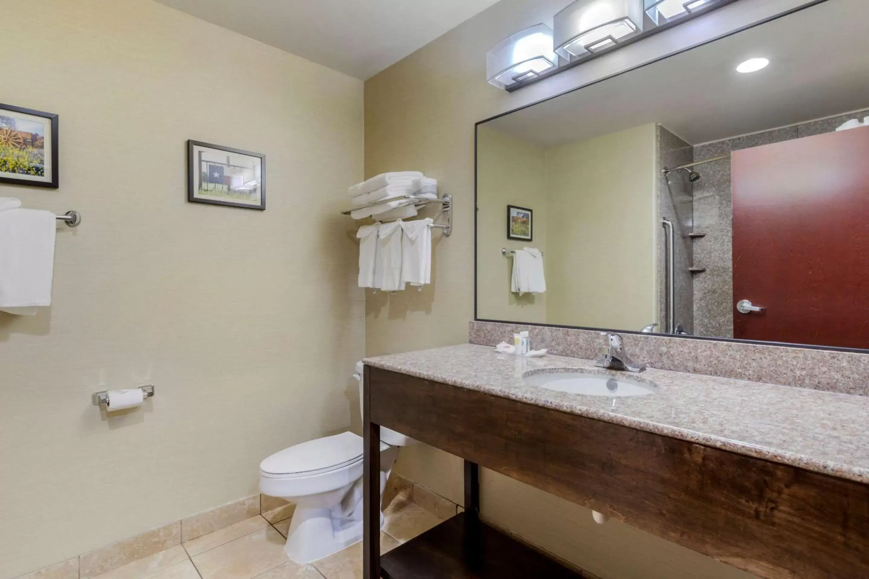 Bathroom in Comfort Suites North Pflugerville - Austin North