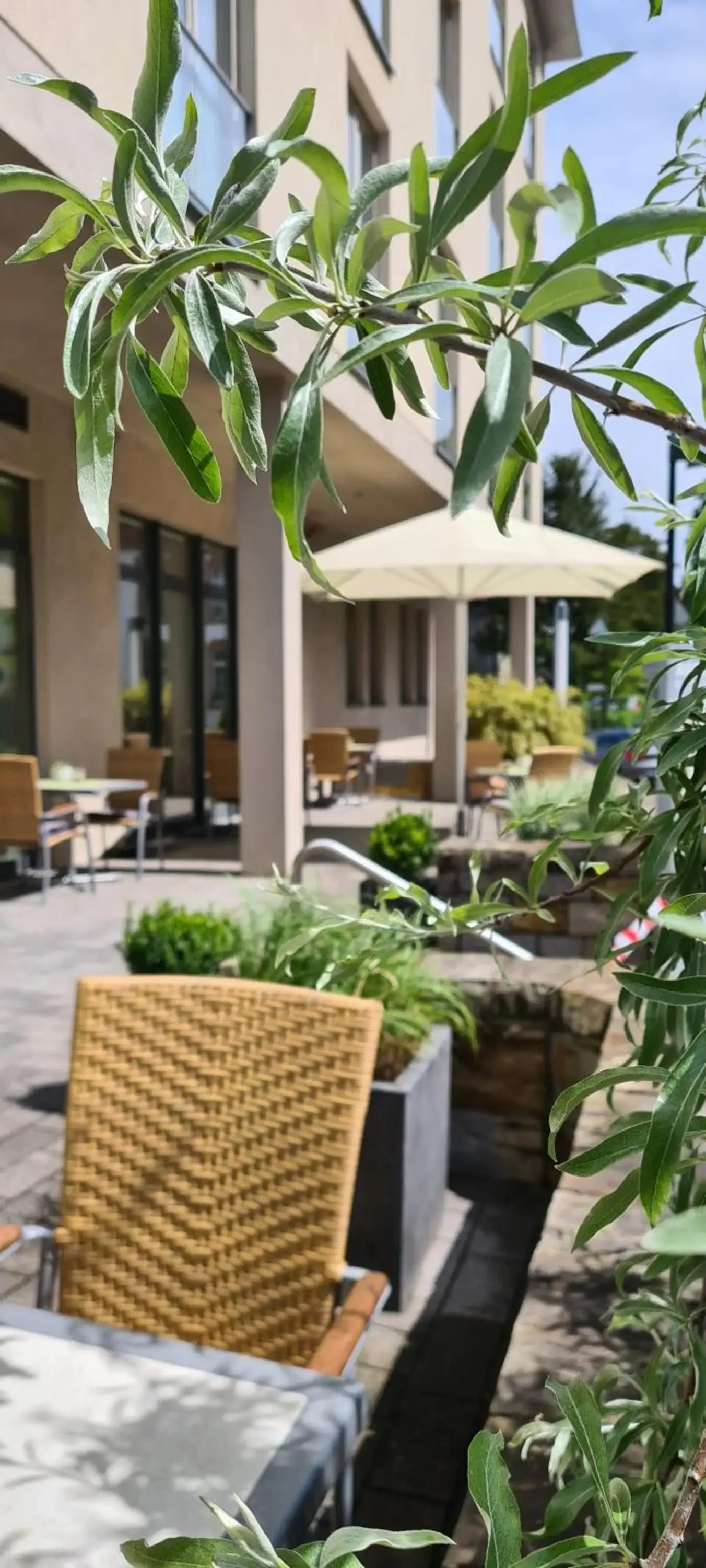 Balcony/Terrace in Hotel Aspethera