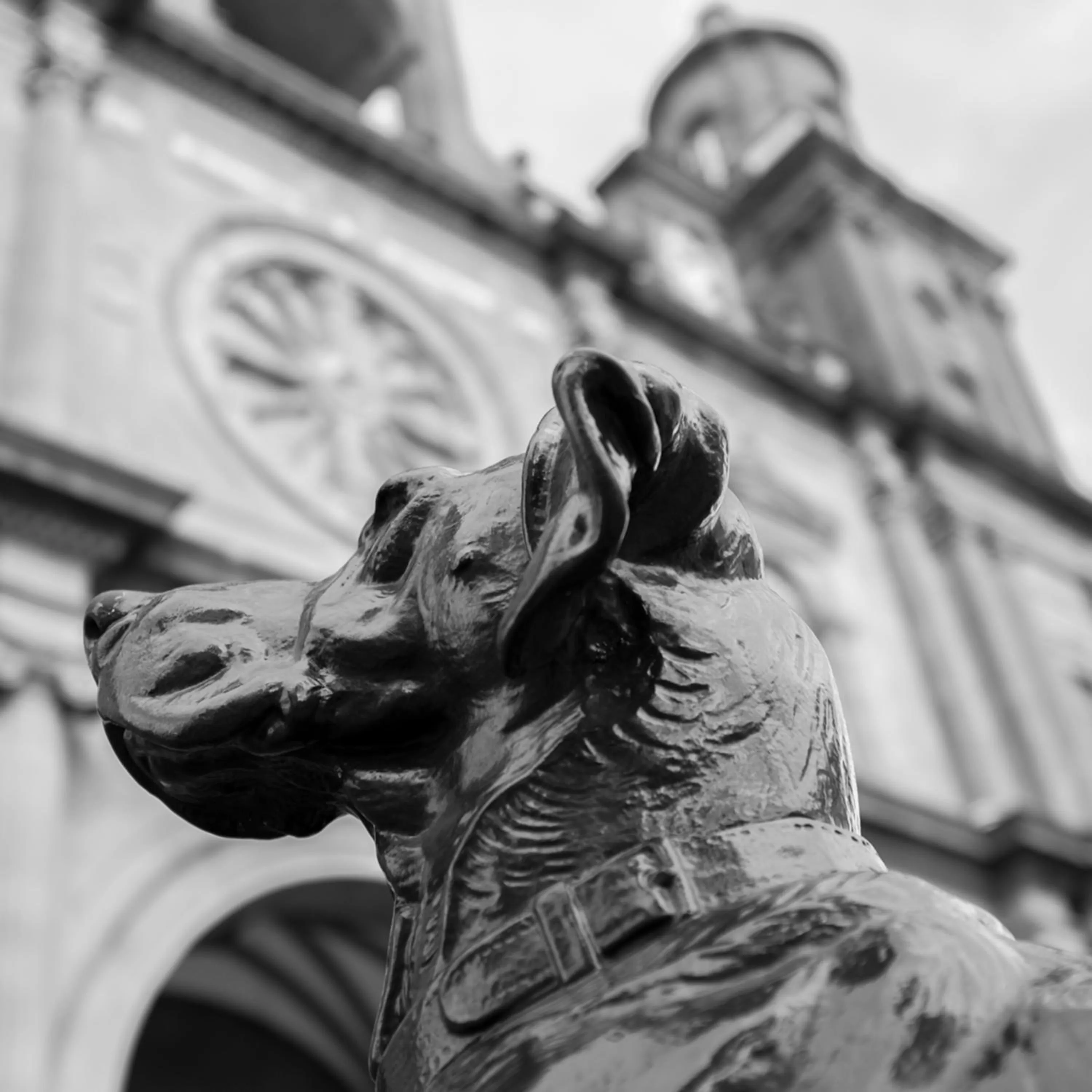 Nearby landmark in Suites 1478