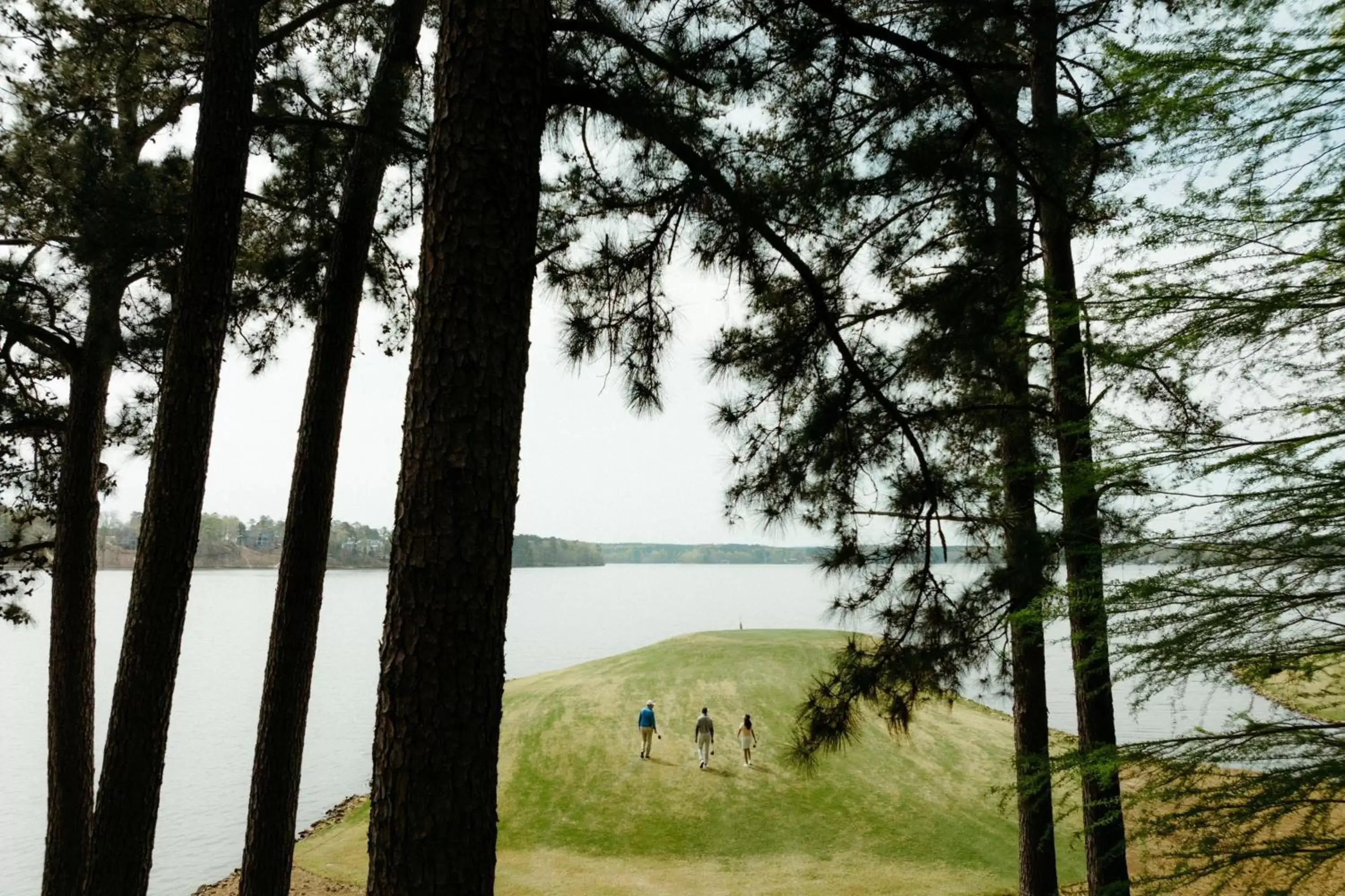 Golfcourse in The Ritz-Carlton Reynolds, Lake Oconee