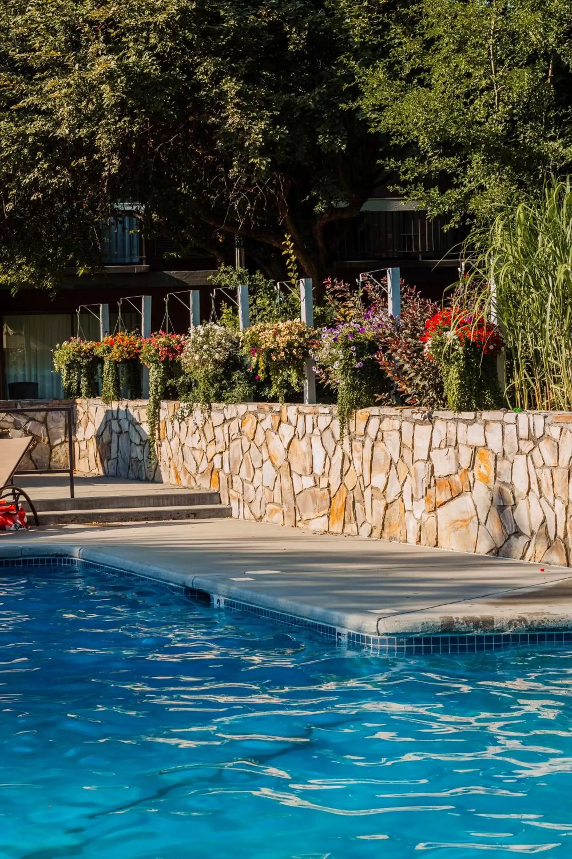 Pool view, Swimming Pool in Best Western Sunridge Inn & Conference Center