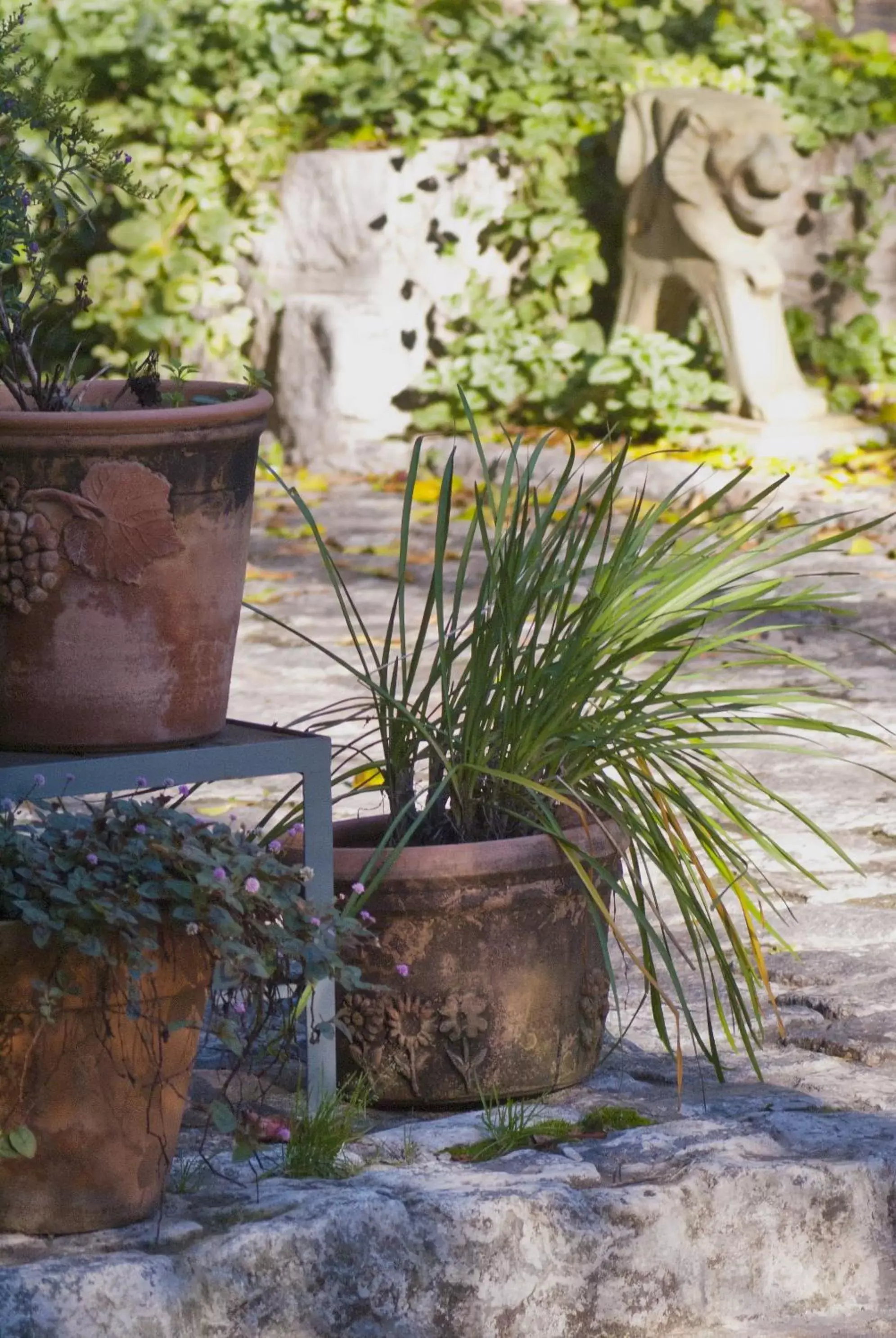 Garden in BENS L'Hôtel Palermo