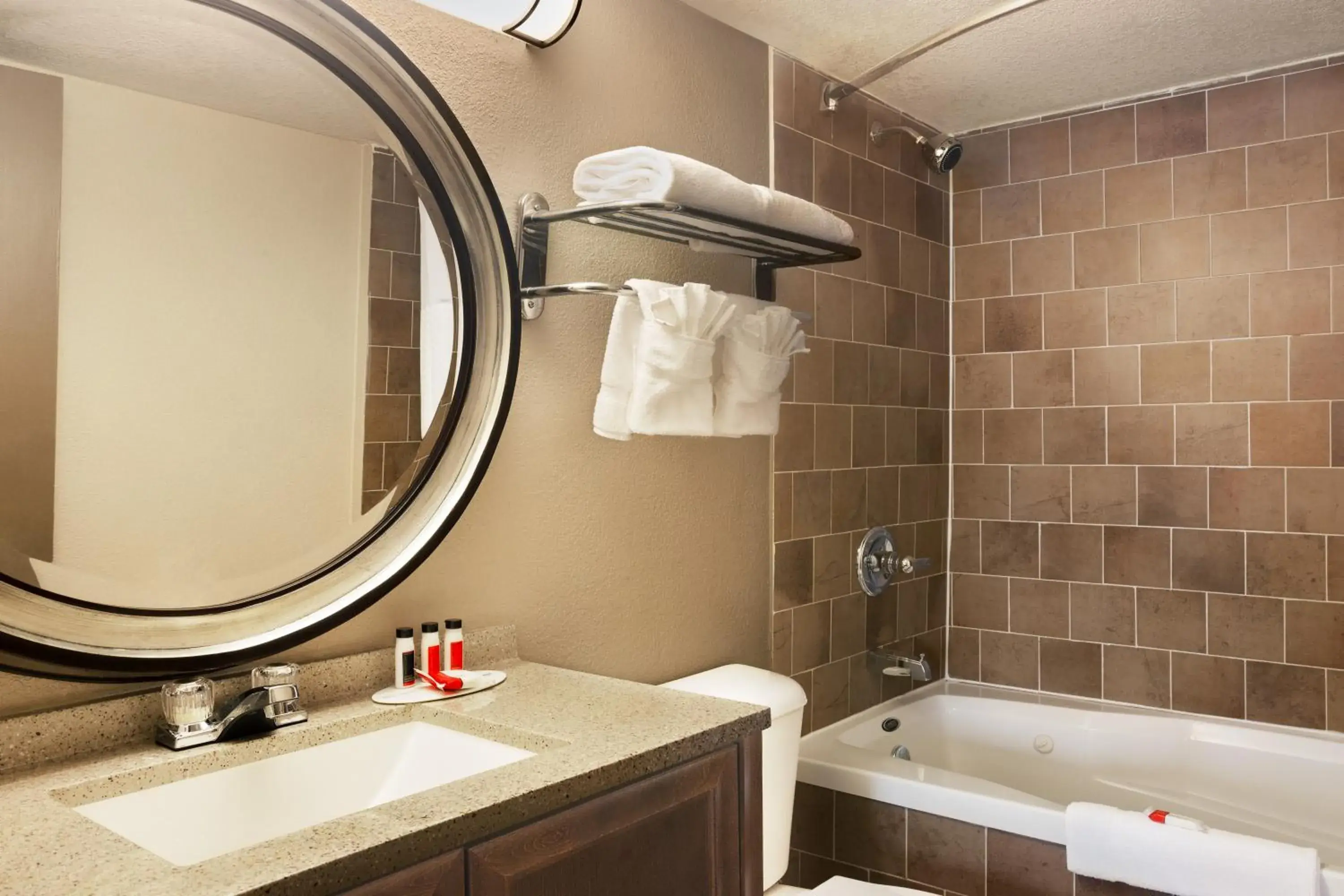 Bathroom in Express Inn and Suites