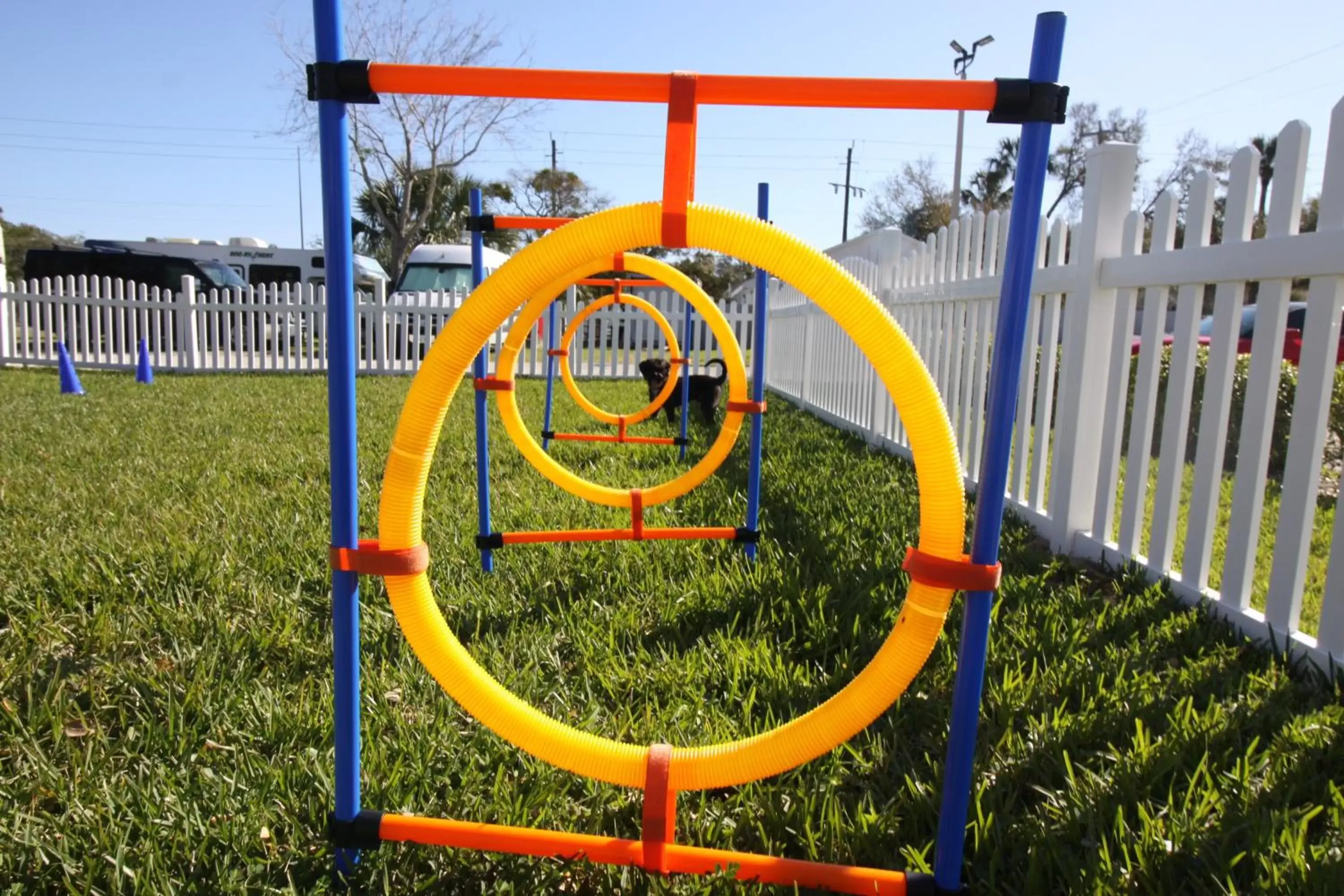 Animals, Children's Play Area in Southern Oaks Inn - Saint Augustine