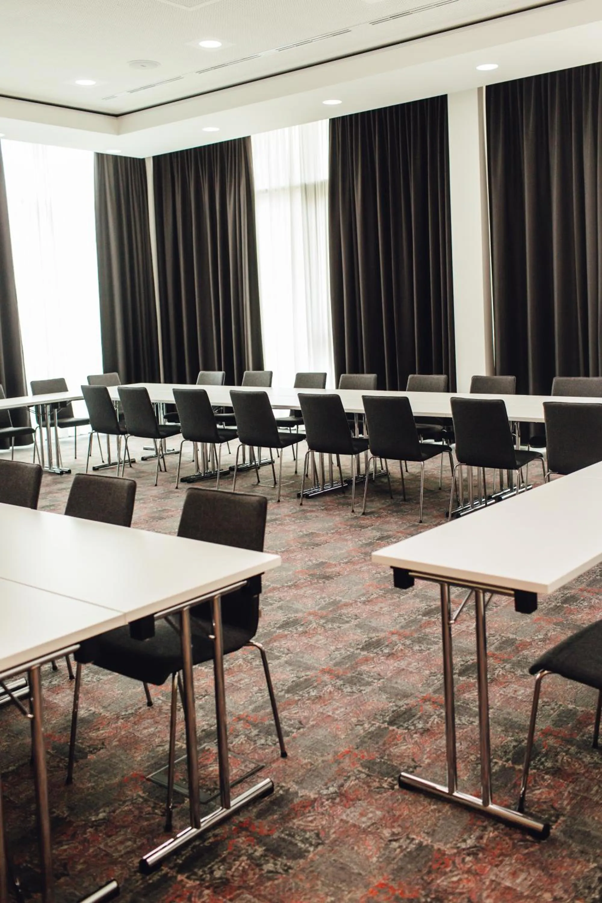 Business facilities in Hotel Edita