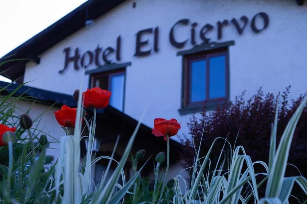 Hotel El Ciervo