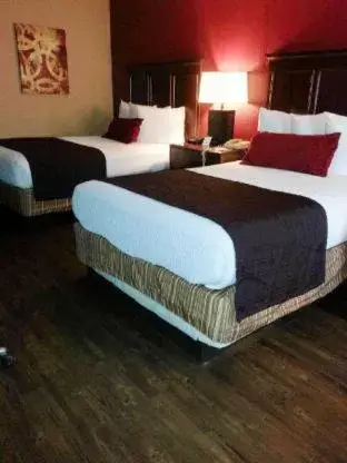 King Room - Smoking in Quality Inn & Suites King Room - Smoking in Quality Inn & Suites