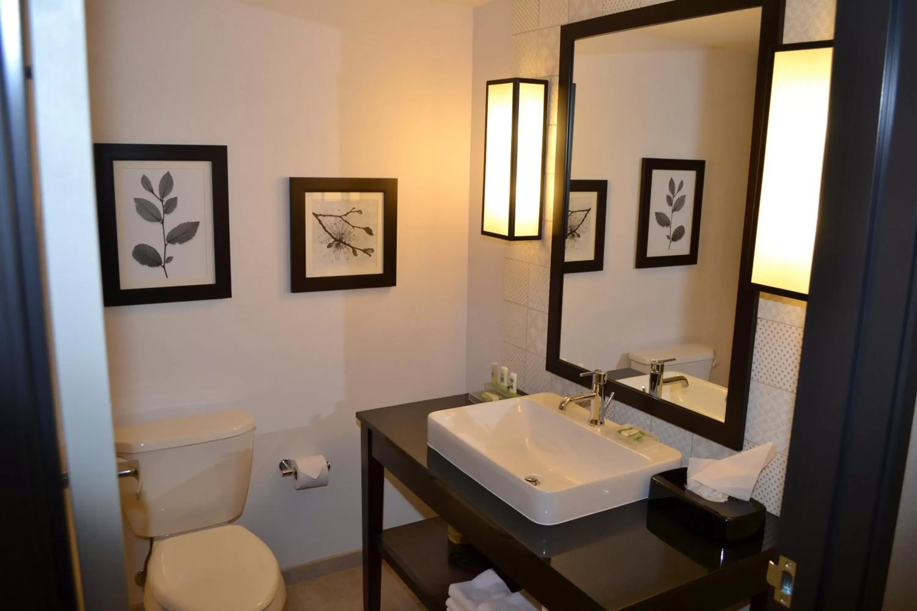 King Studio - Non-Smoking in Country Inn & Suites by Radisson Roseville - St Paul King Studio - Non-Smoking in Country Inn & Suites by Radisson Roseville - St Paul