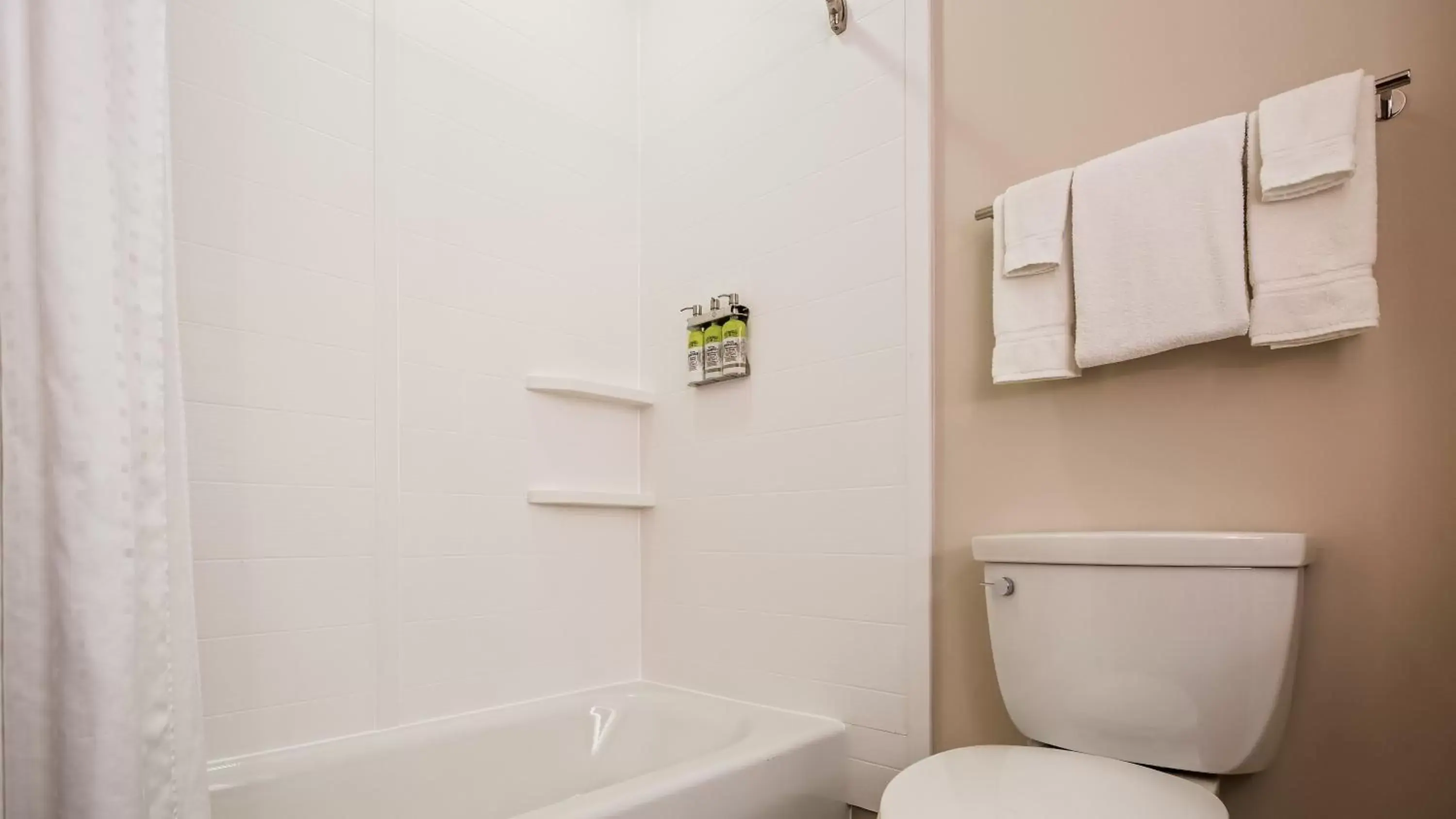 Standard Room with Two Queen Beds in Holiday Inn Express & Suites Detroit - Farmington Hills by IHG Standard Room with Two Queen Beds in Holiday Inn Express & Suites Detroit - Farmington Hills by IHG