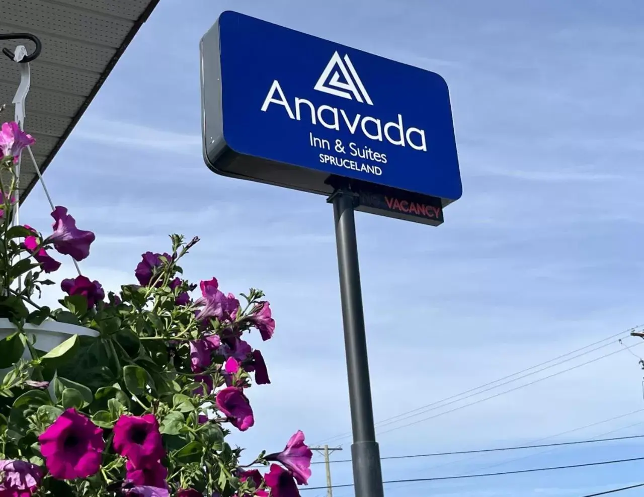 Property logo or sign in Anavada Inn & Suites - Prince George