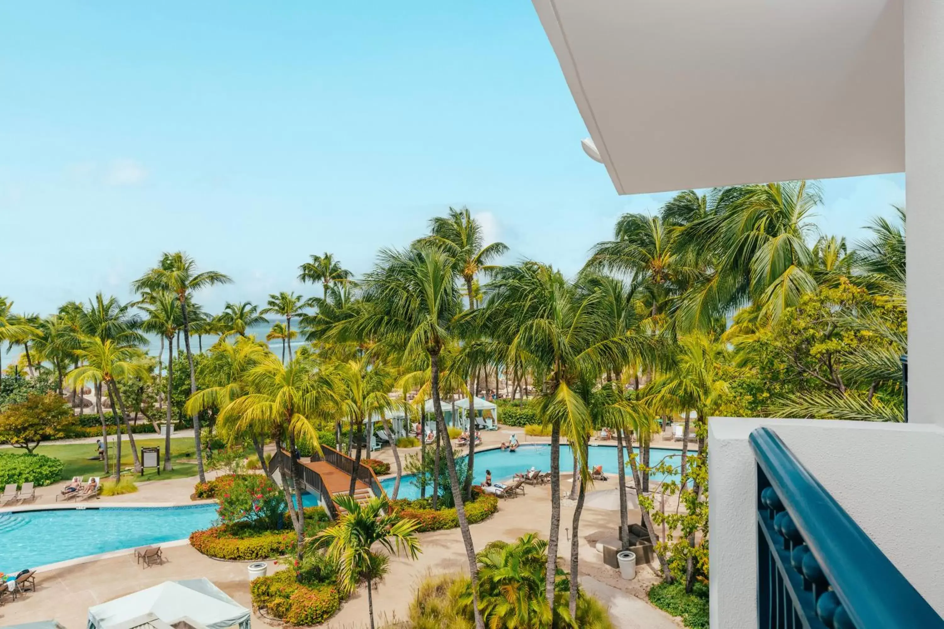 View (from property/room), Pool View in Hilton Aruba Caribbean Resort & Casino