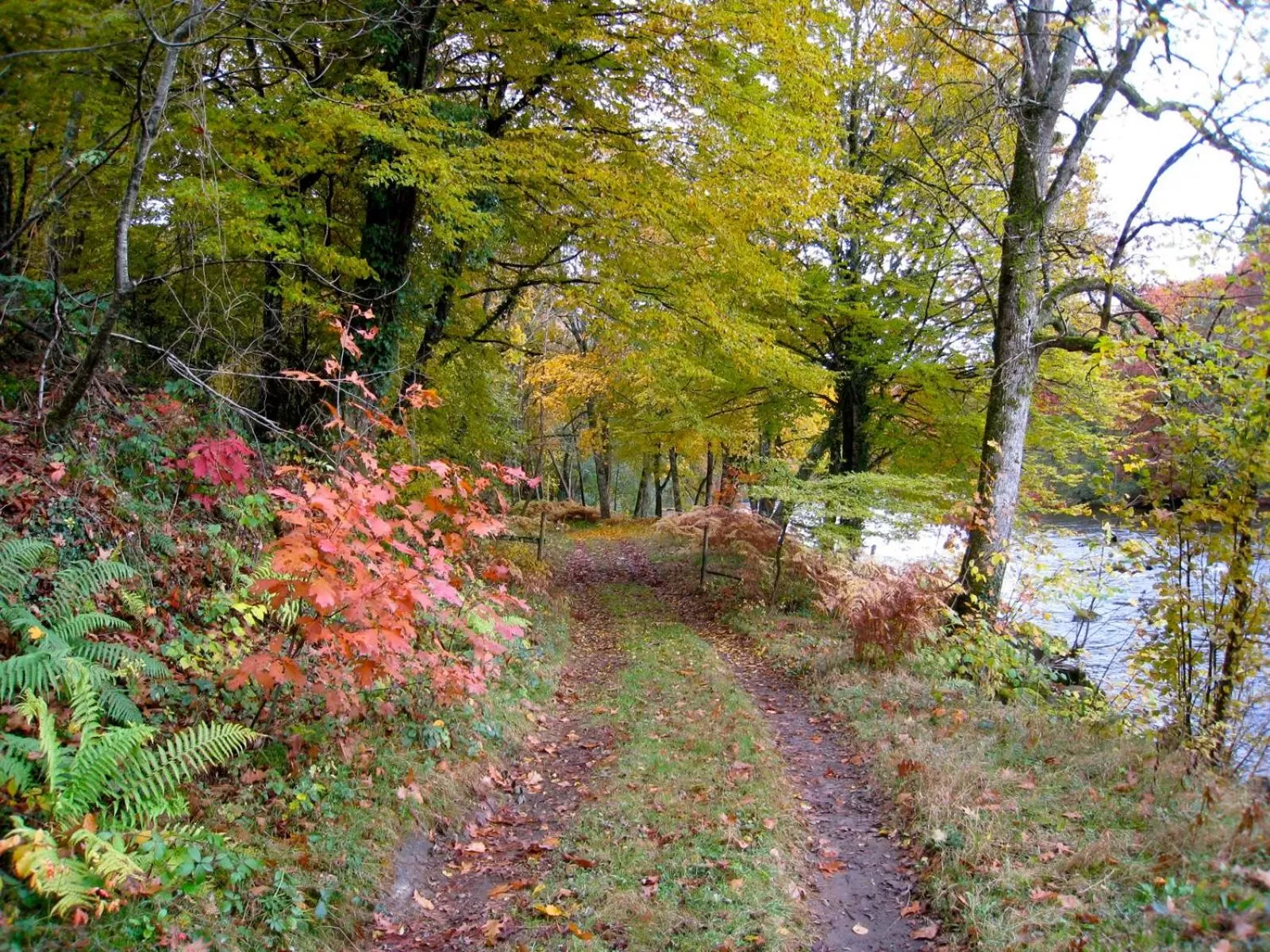 Garden in L'Élassier