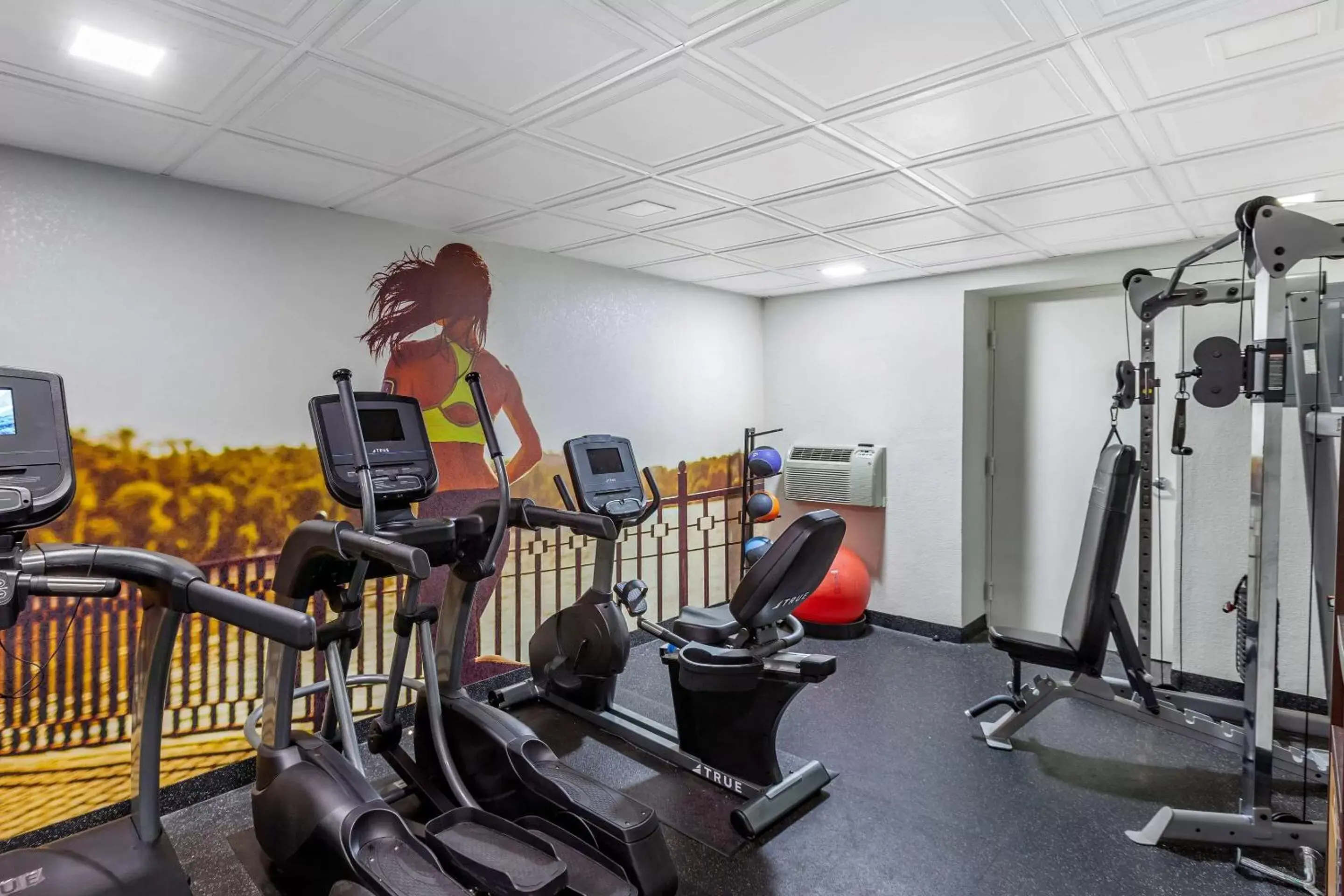 Fitness centre/facilities, Fitness Center/Facilities in Clarion Pointe Racine - Mount Pleasant