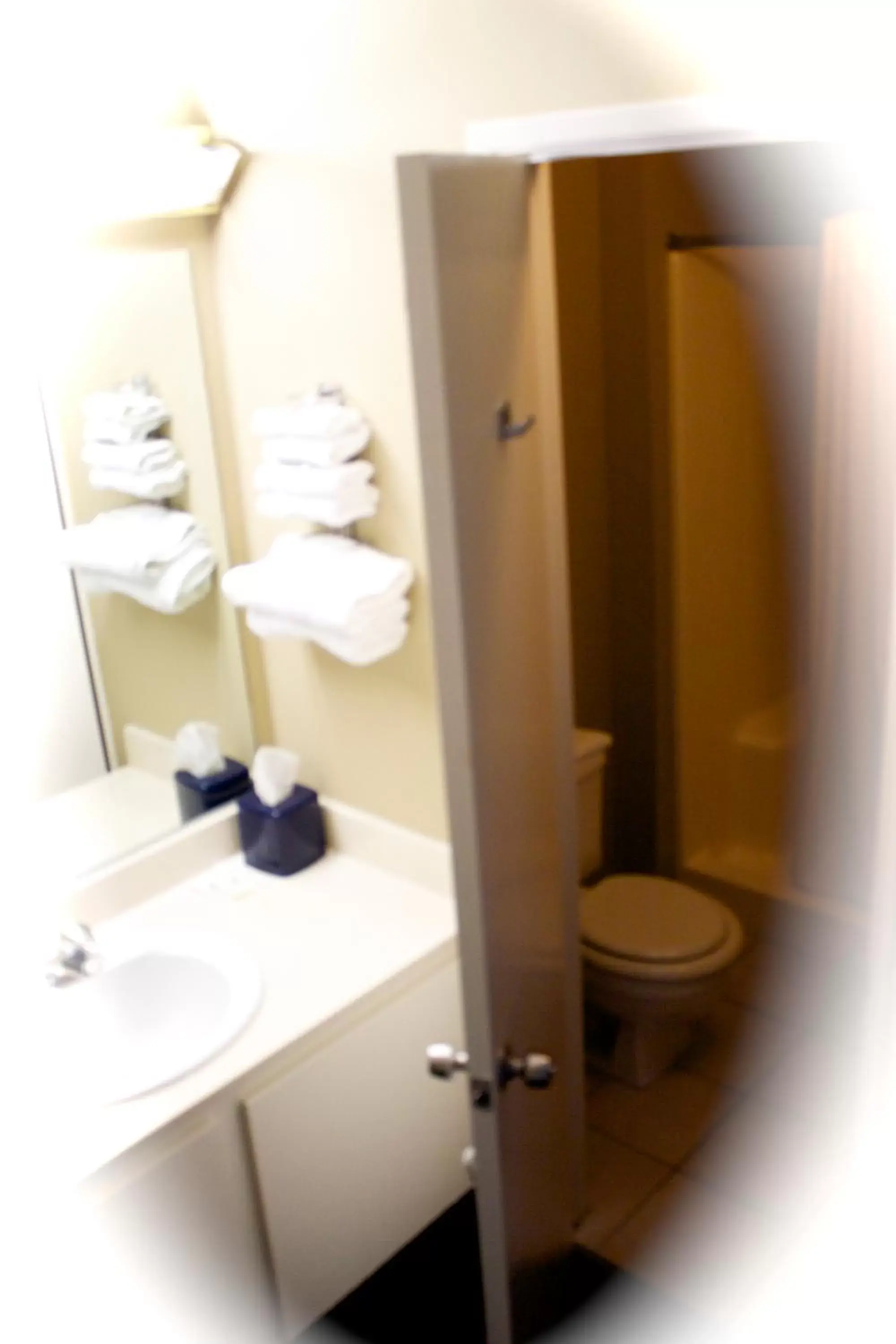 Bathroom in Holland Inn and Suites