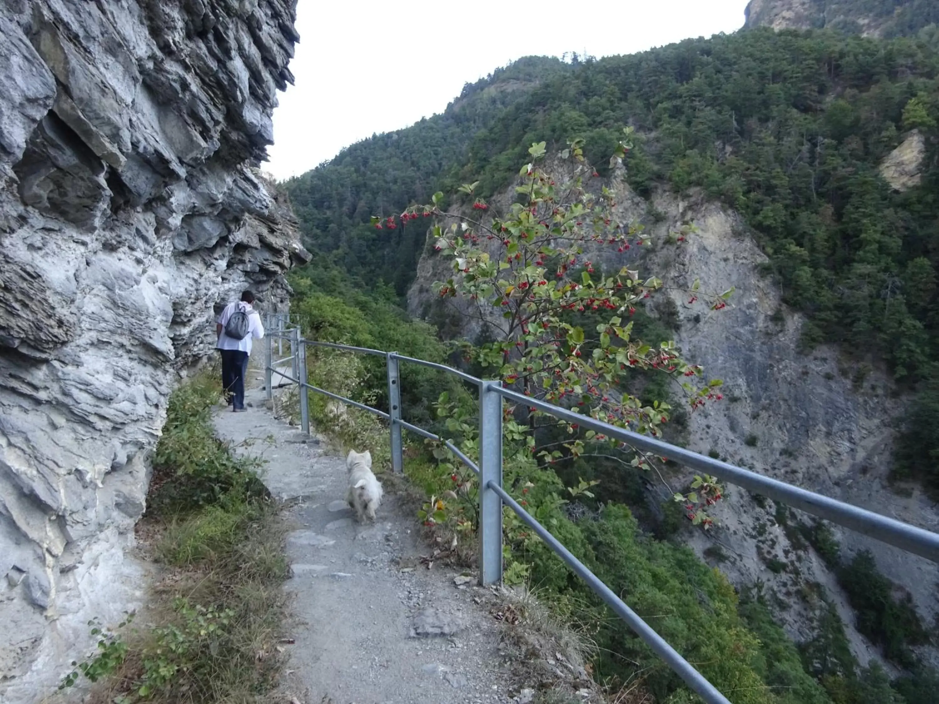 Hiking in la grange à Caroline