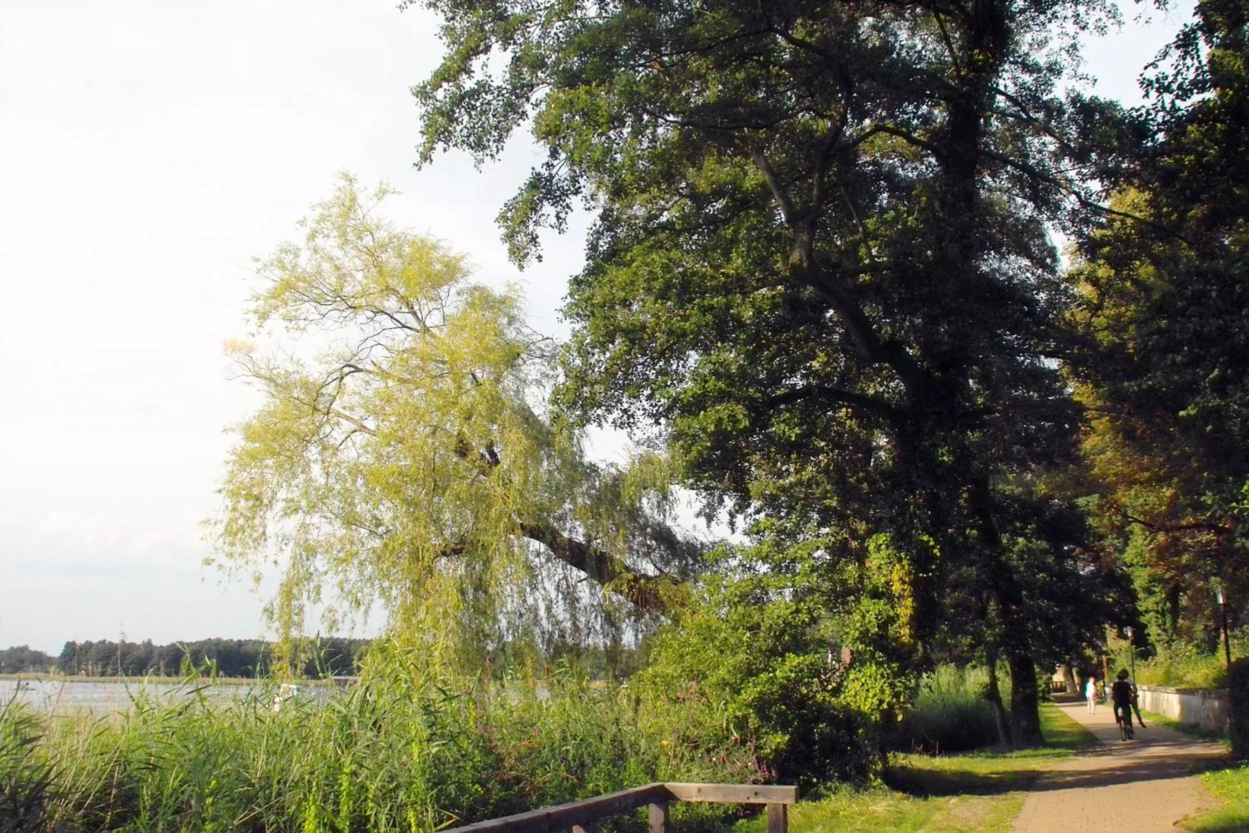 Natural landscape in Keramik Hotel Rheinsberg