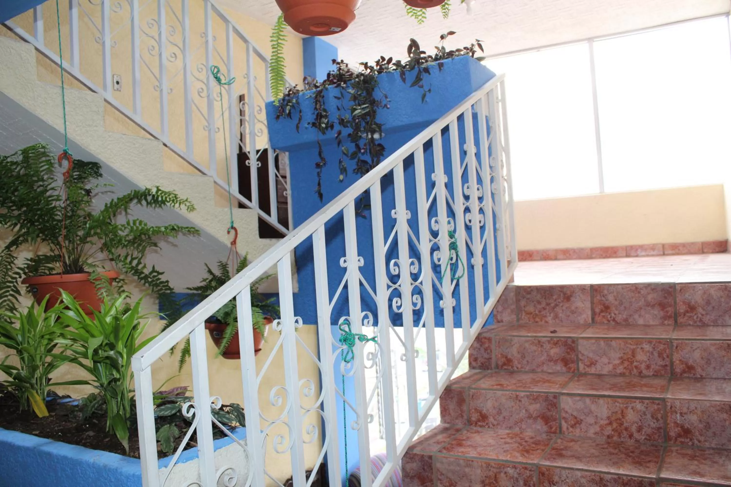 Property building in hotel kasa kamelot 2