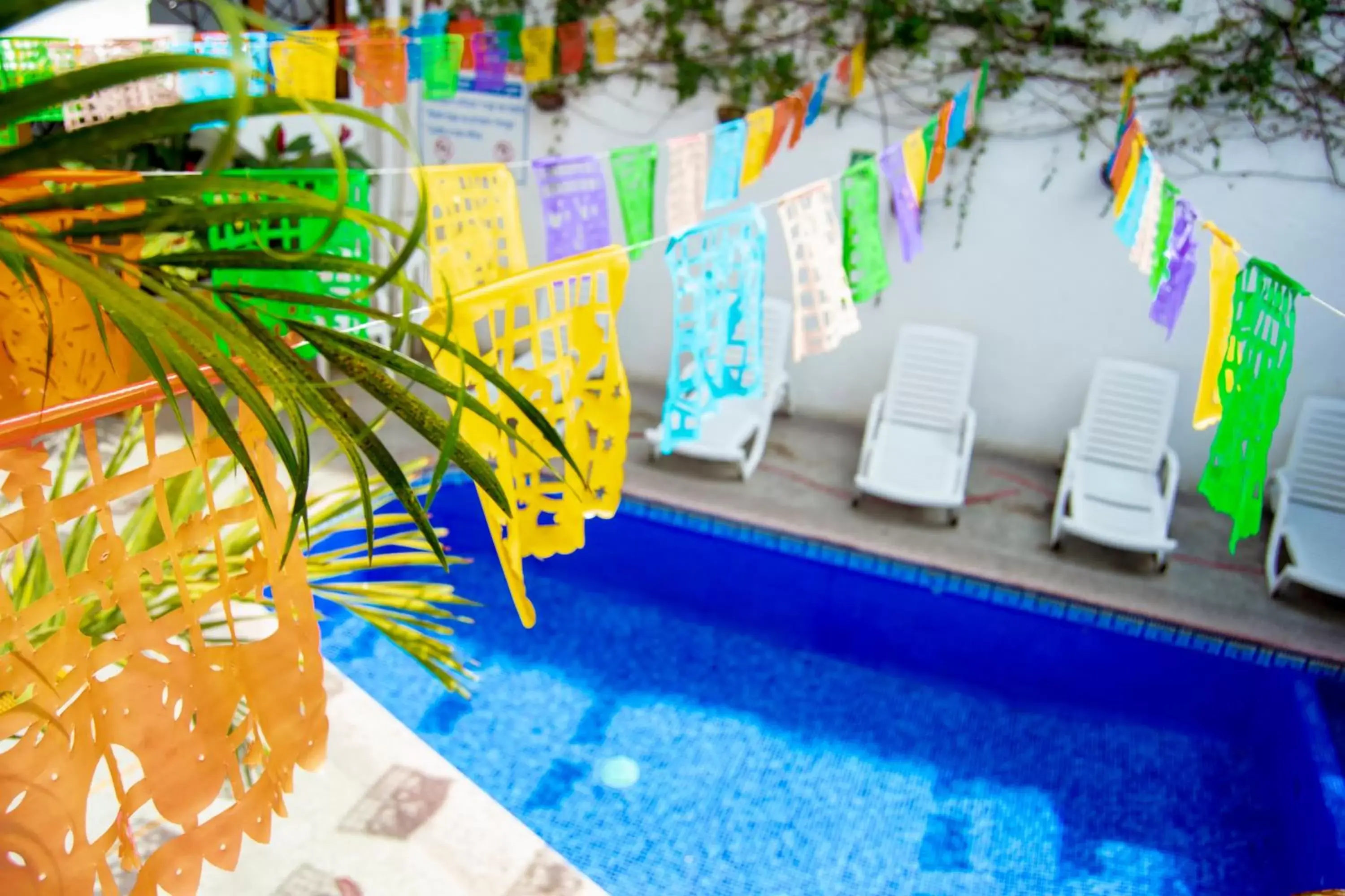 Pool view, Swimming Pool in Hotel Hacienda de Vallarta Centro