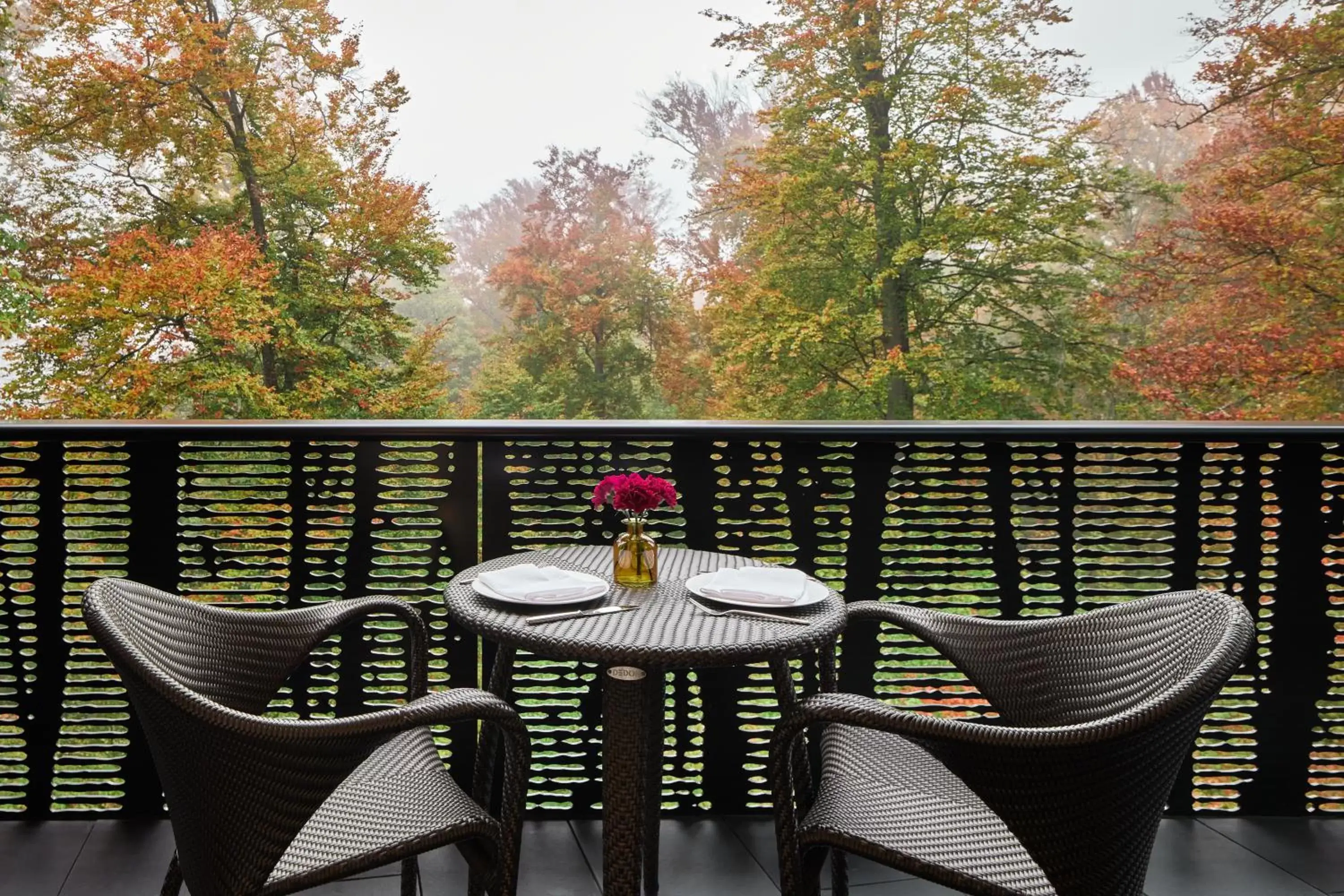 Balcony/Terrace in The Dolder Grand